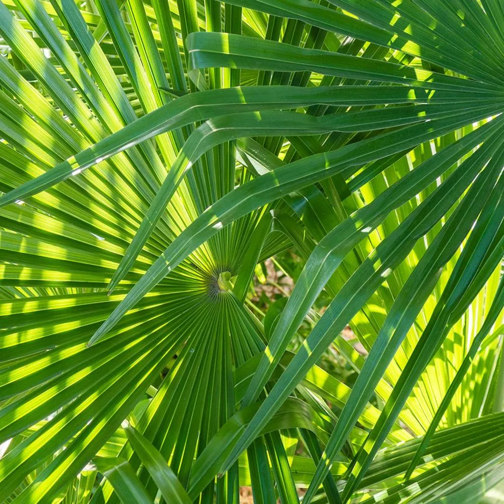 Summer in Seminar-Hotel Rigi am See