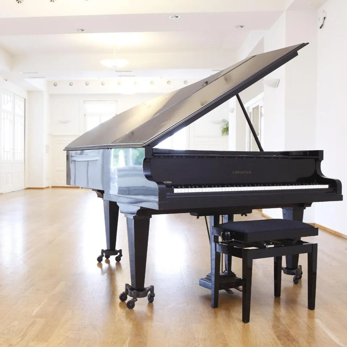 Business facilities in Seminar-Hotel Rigi am See