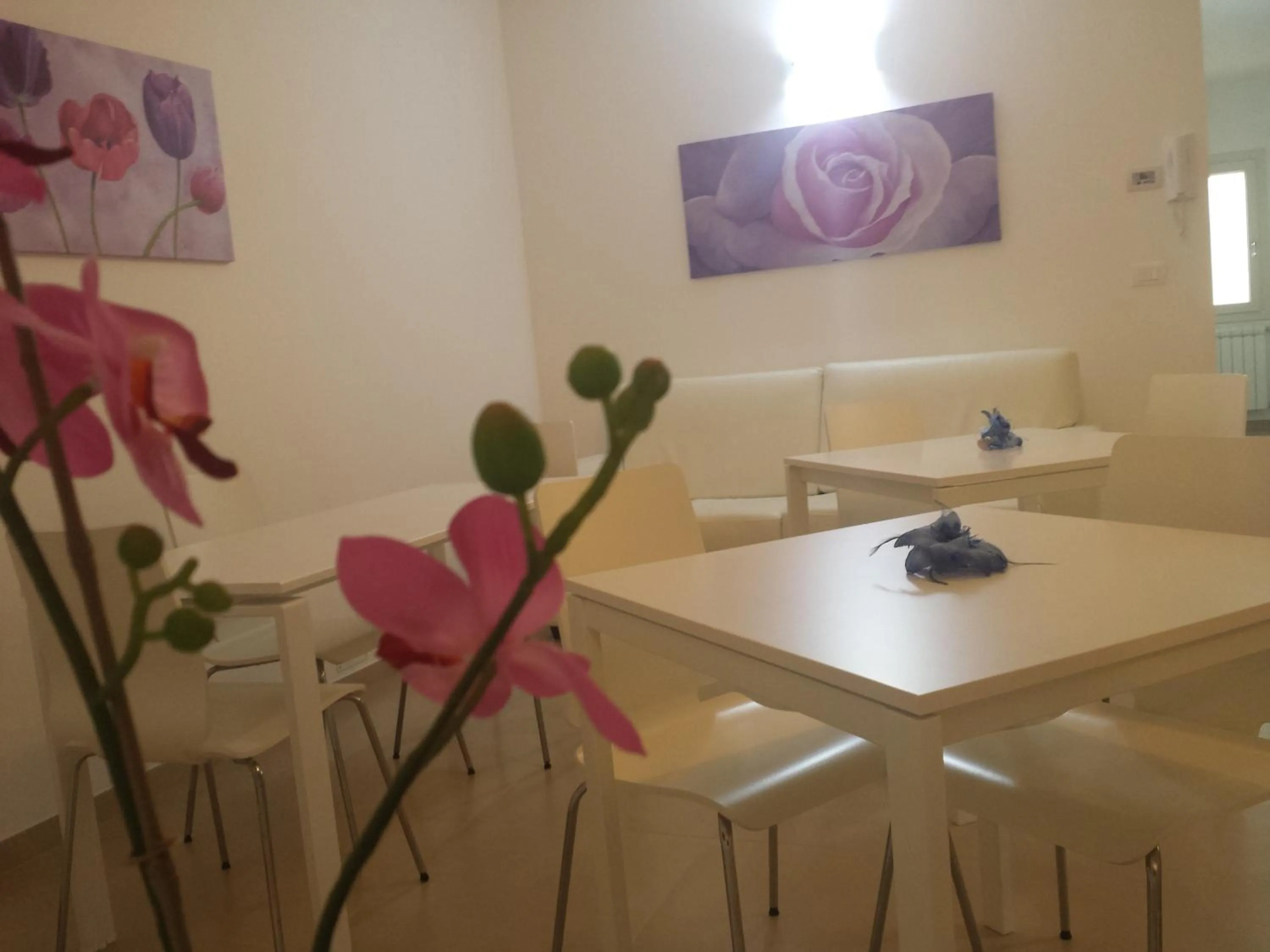 B&B Il Quadrifoglio