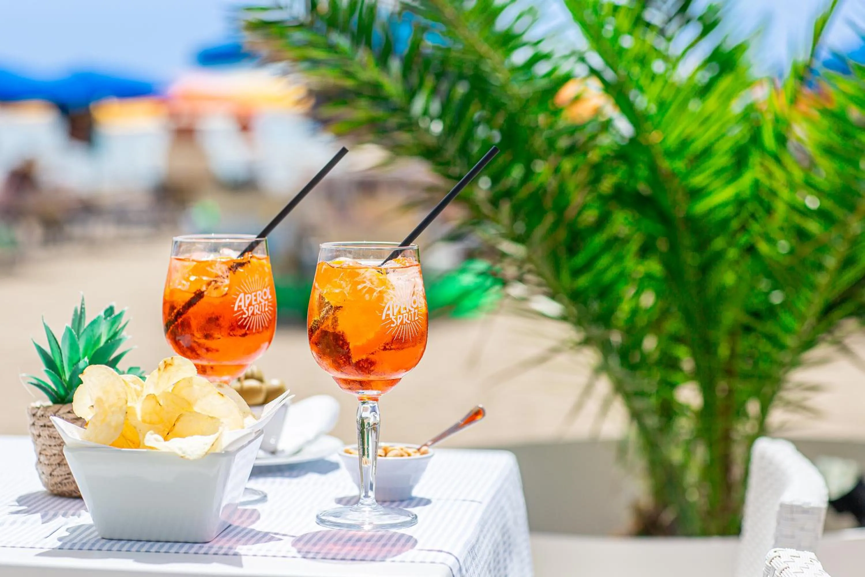 Beach in Hotel Vittoria