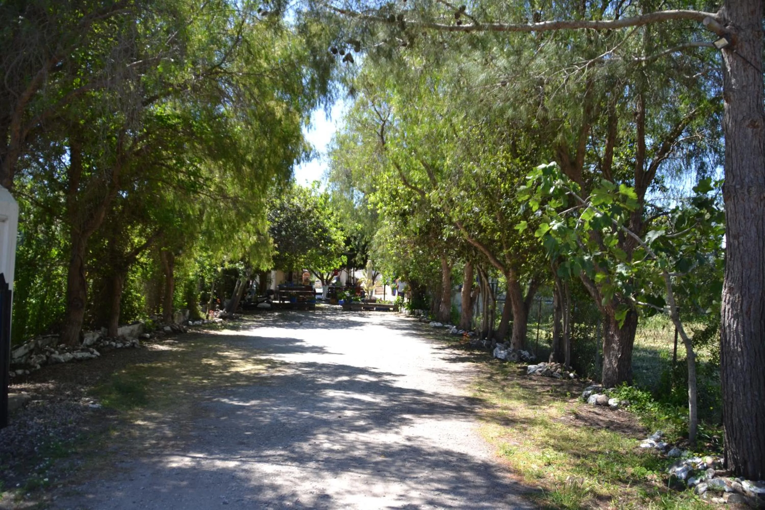 Paradise Gümüşlük