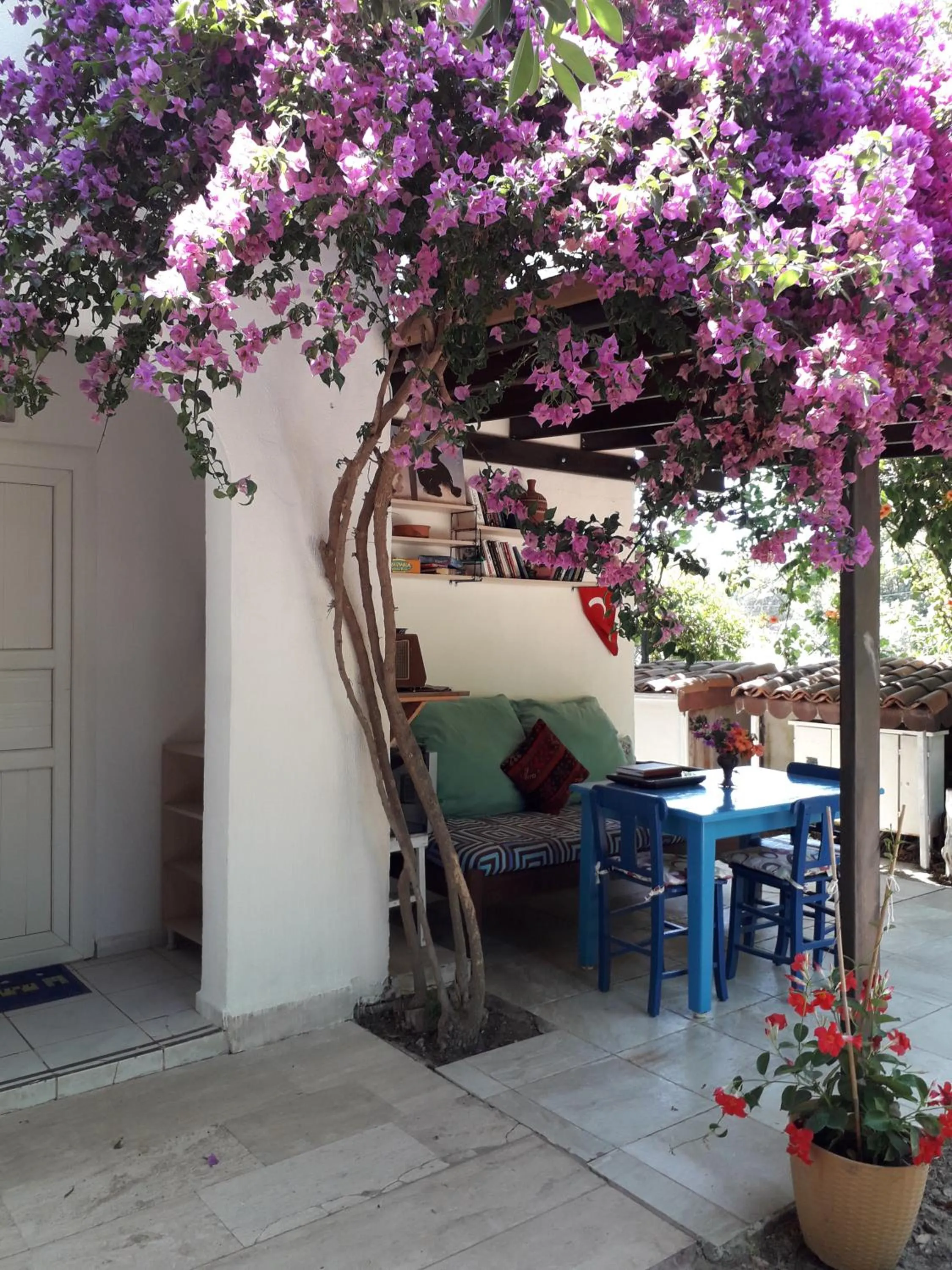 Paradise Gümüşlük