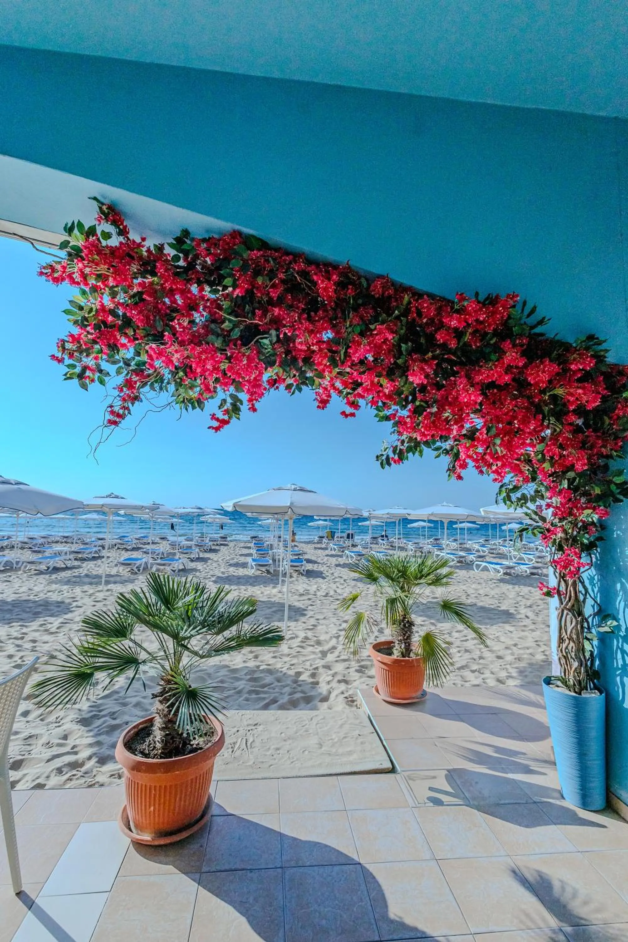 Restaurant/places to eat in Mirage Hotel