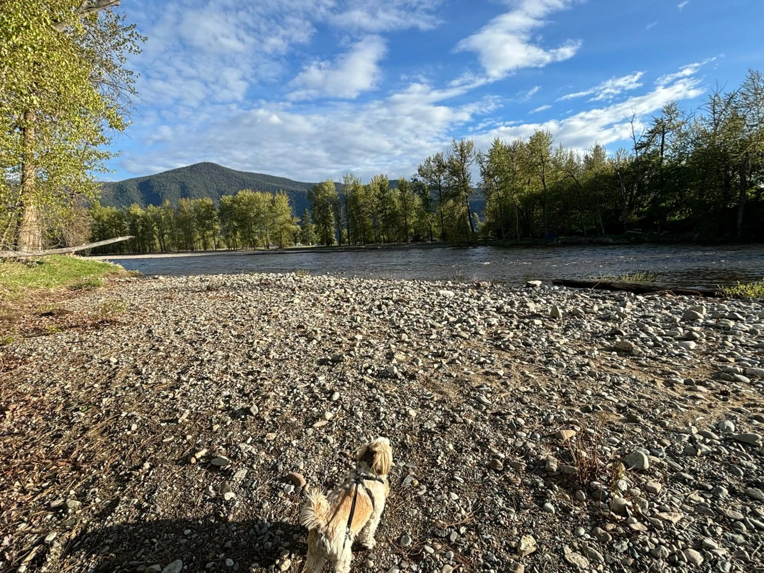 Nearby landmark in Western Traveller Motel