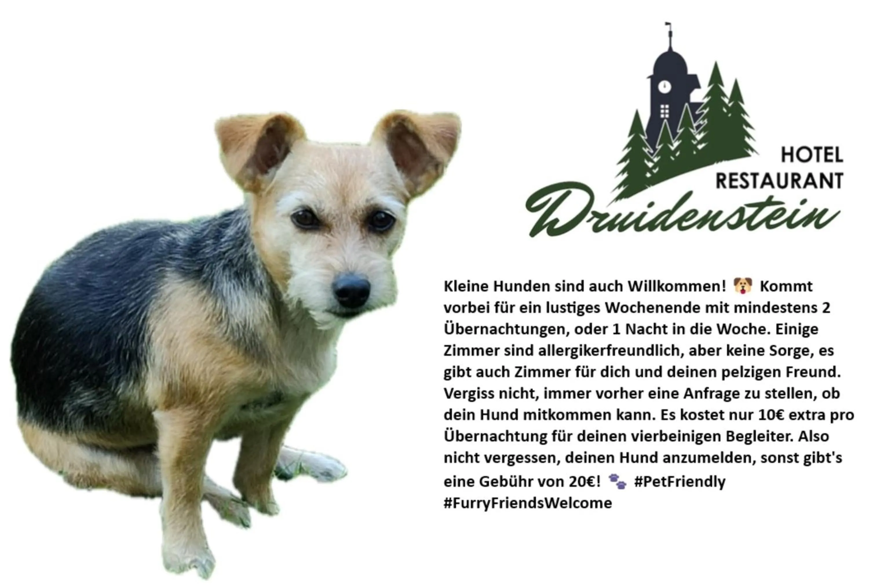 Animals in Hotel & Restaurant Druidenstein