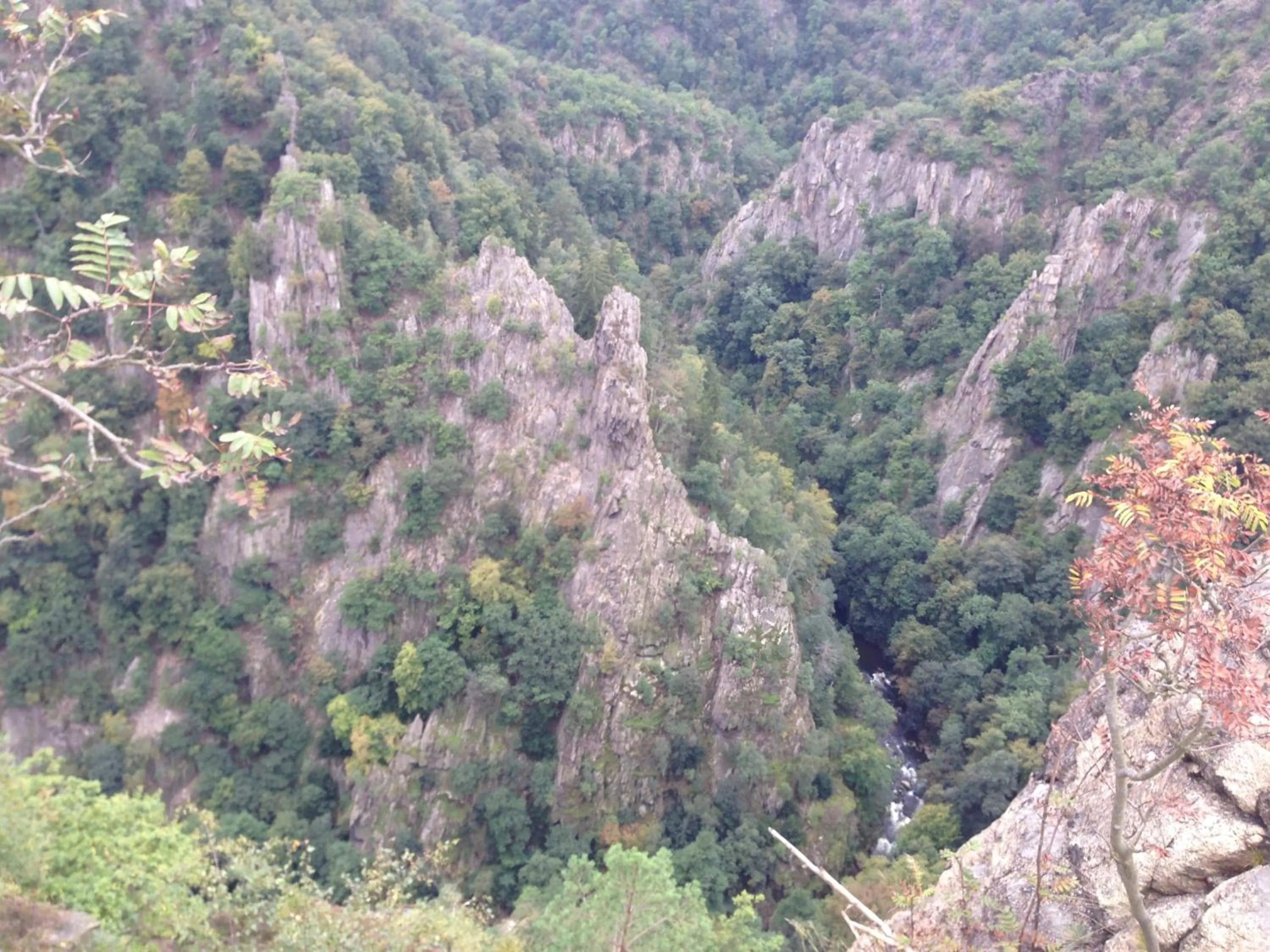 Area and facilities in Hotel & Restaurant Druidenstein