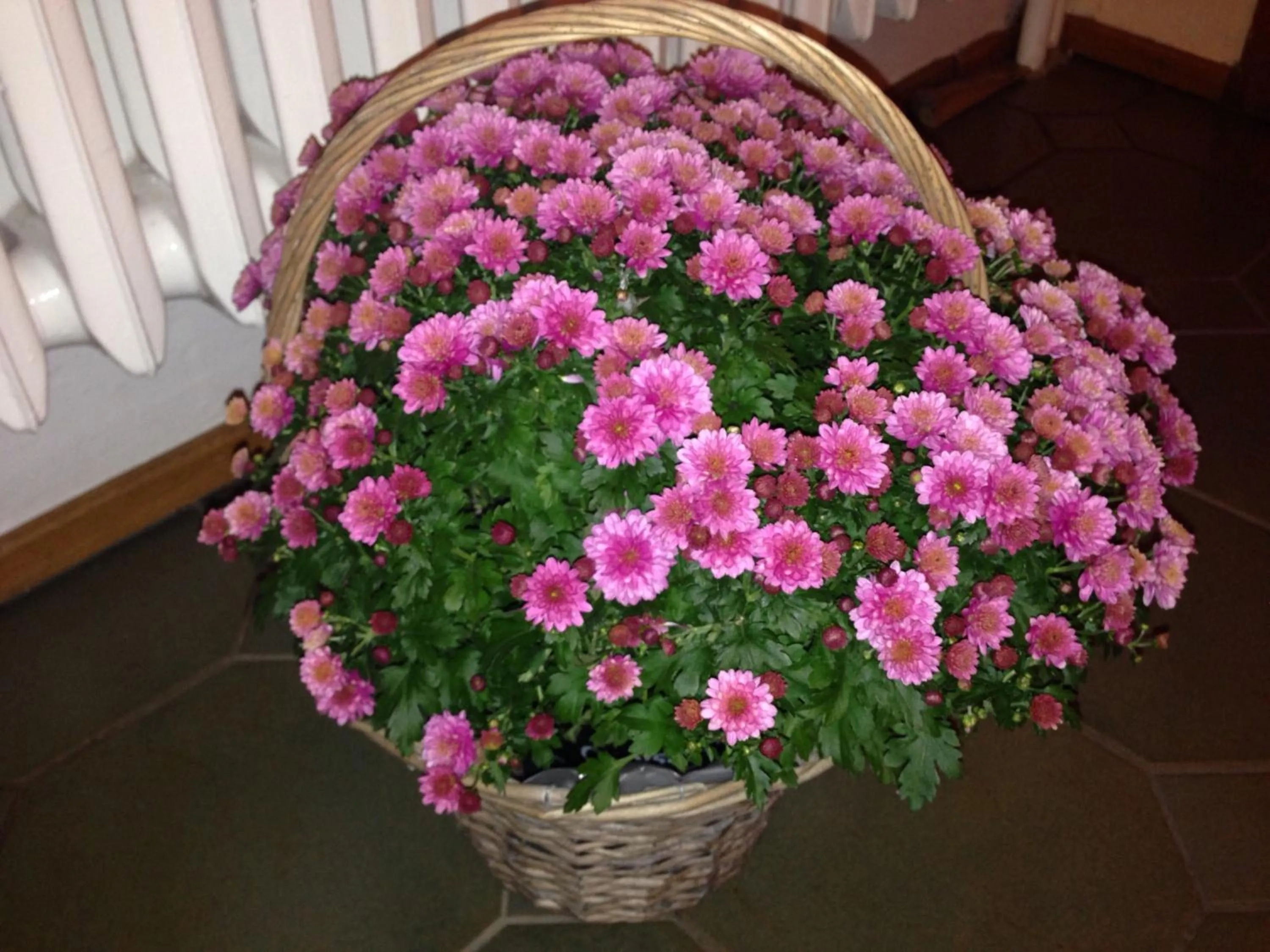 Decorative detail in Hotel & Restaurant Druidenstein