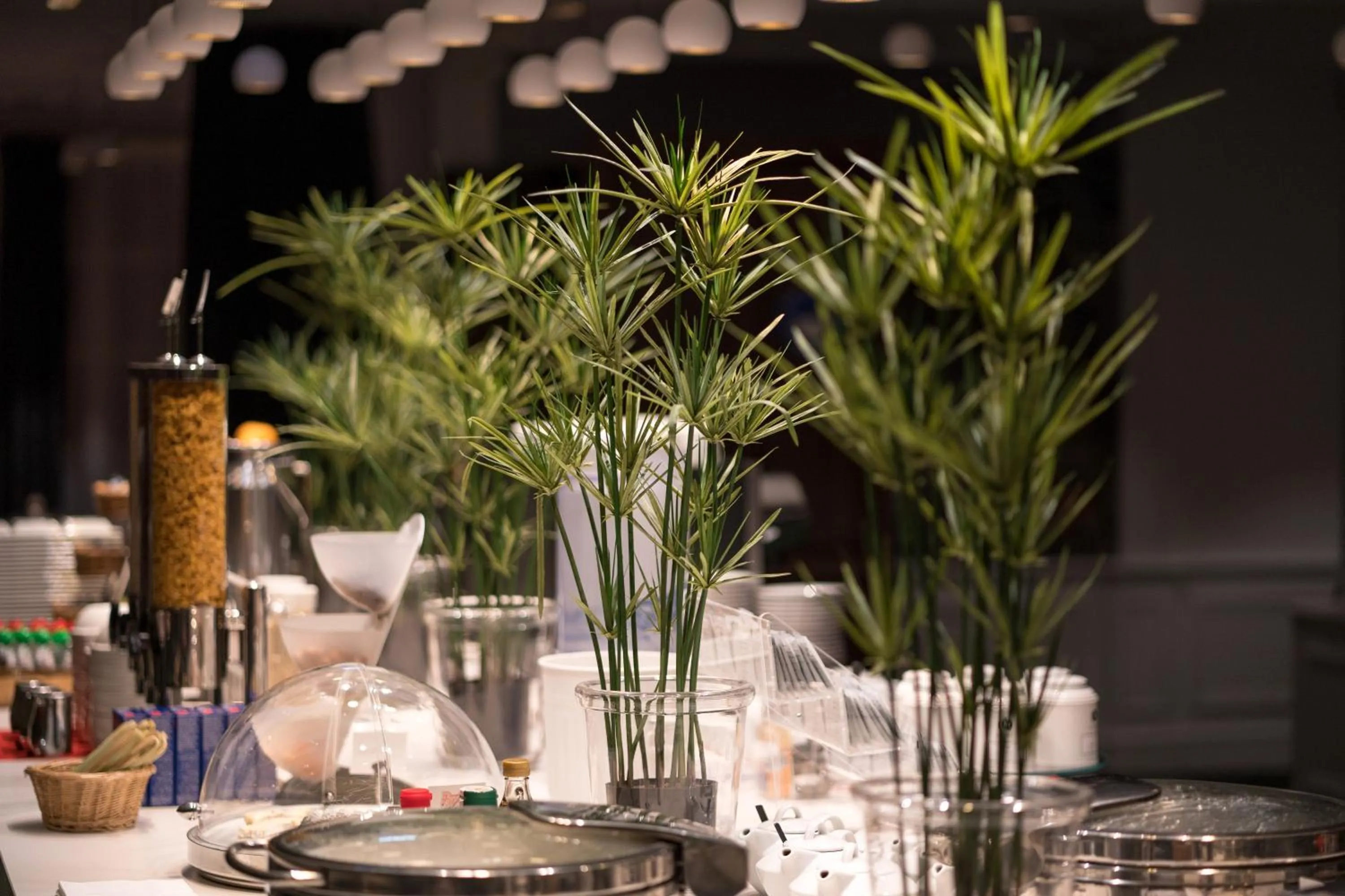 Food and drinks in Aigle Noir Hotel Fontainebleau - MGallery Collection