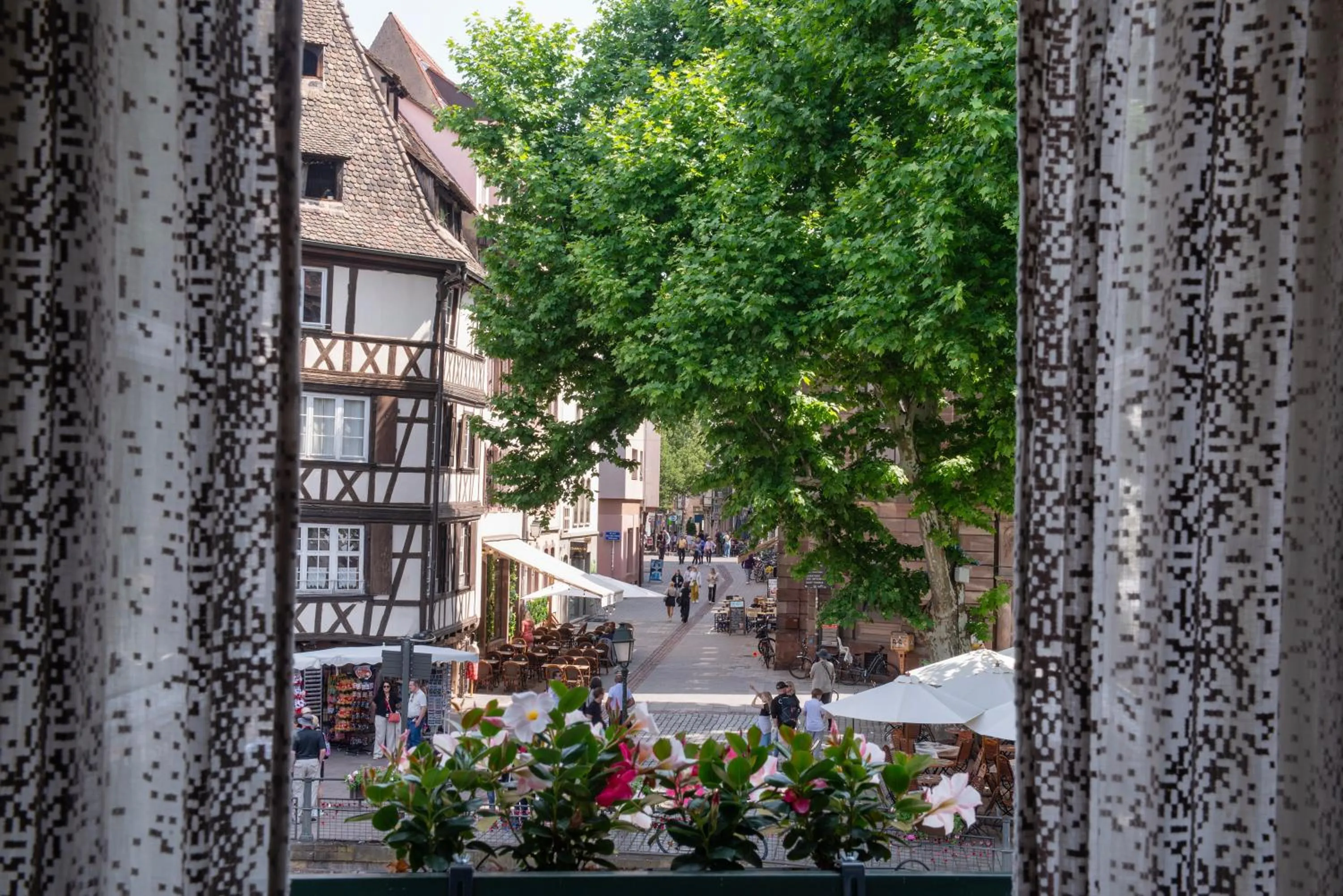 Neighbourhood in Hotel & Spa REGENT PETITE FRANCE