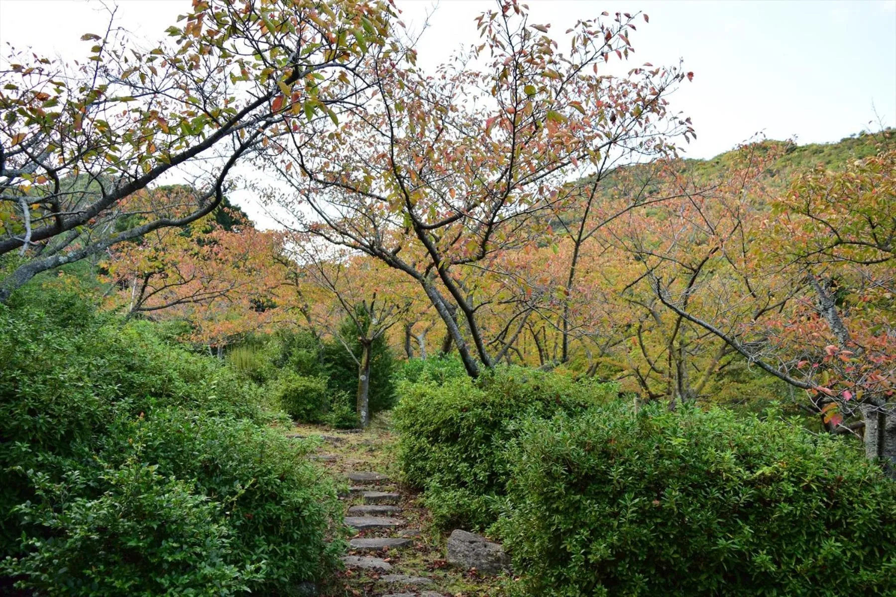 Nearby landmark in Sea Tiger Island Inn Shodoshima