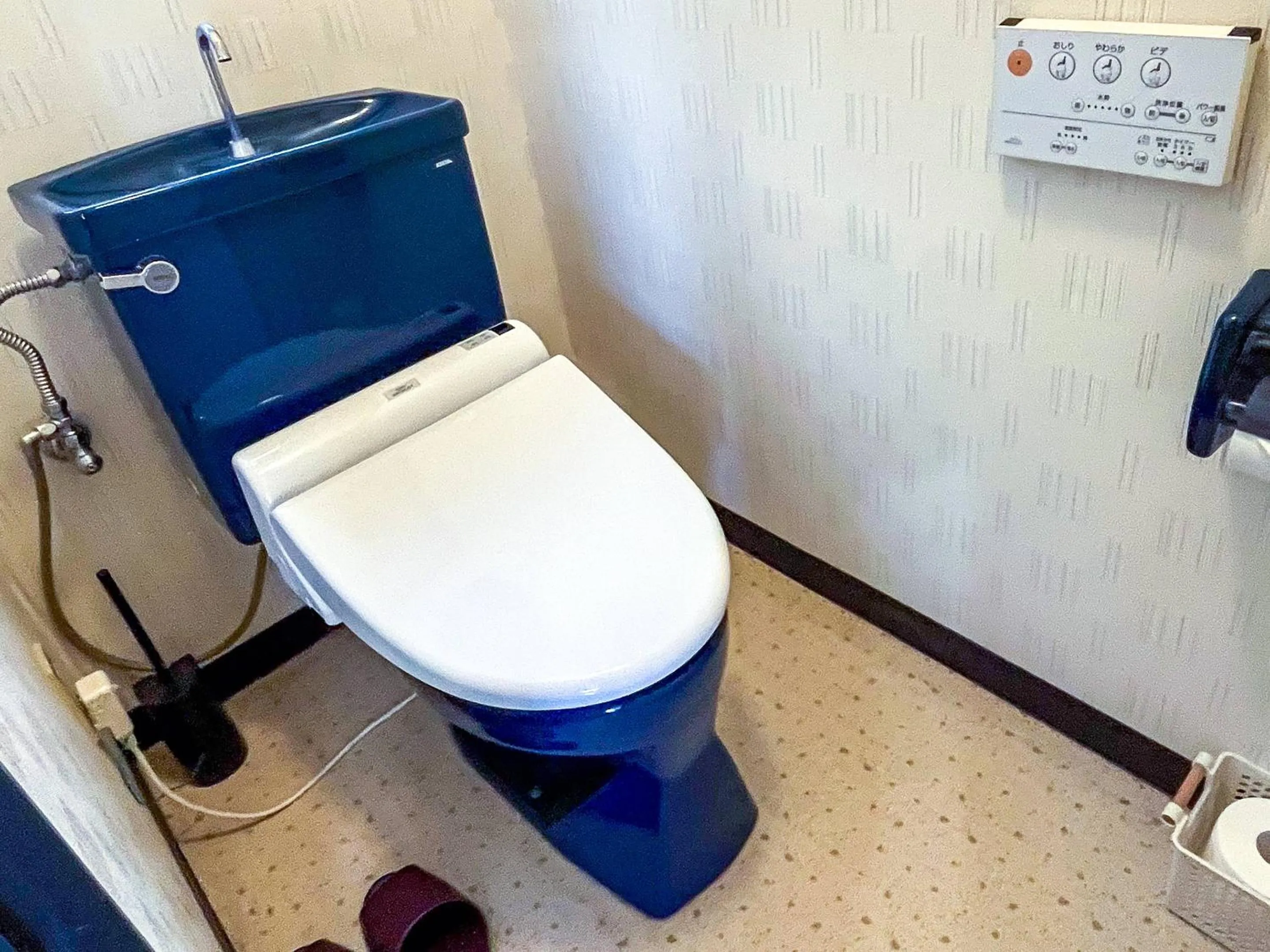 Toilet in Sea Tiger Island Inn Shodoshima