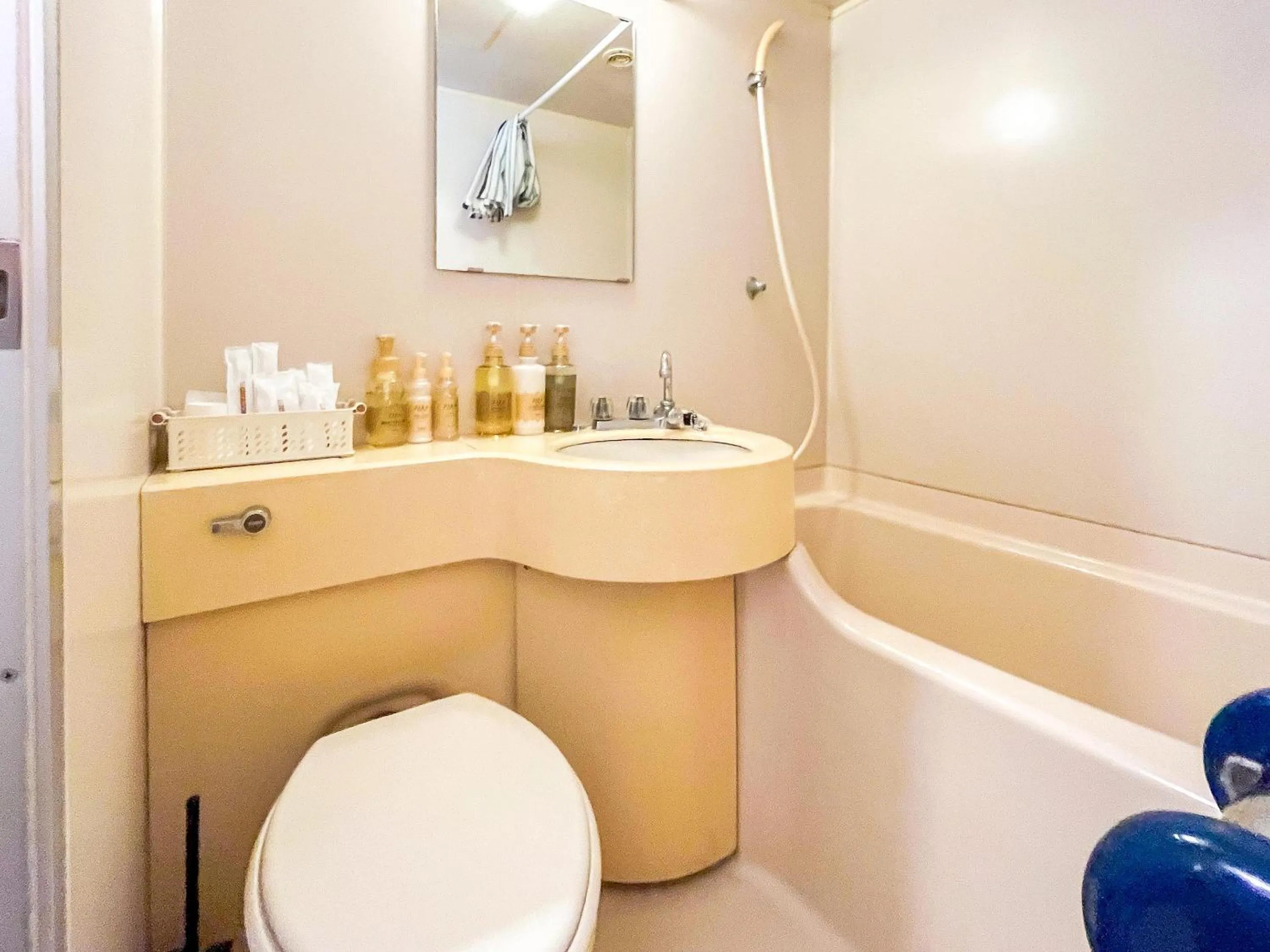 Bathroom in Sea Tiger Island Inn Shodoshima