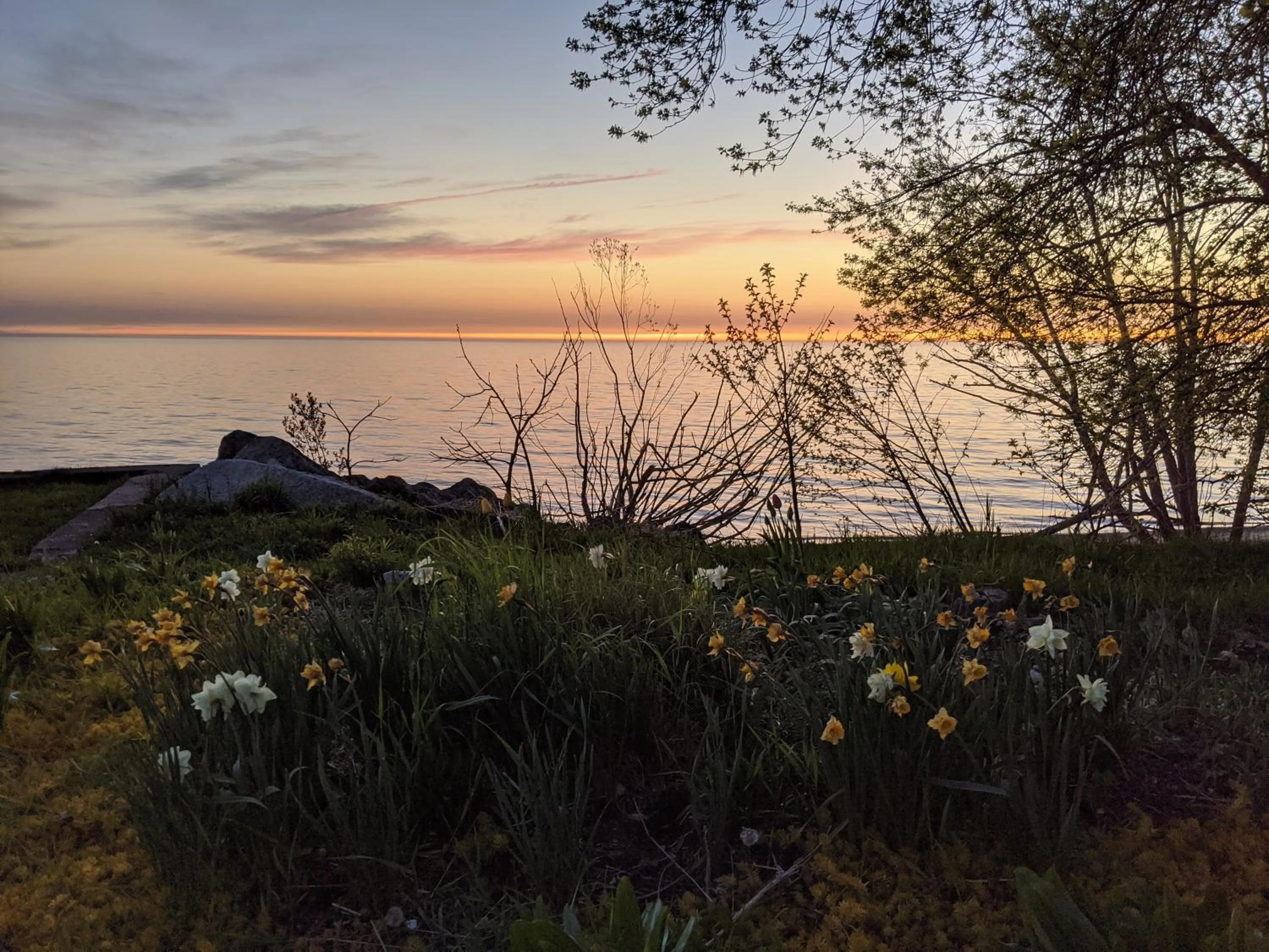 Natural landscape in Inn at the Harbour