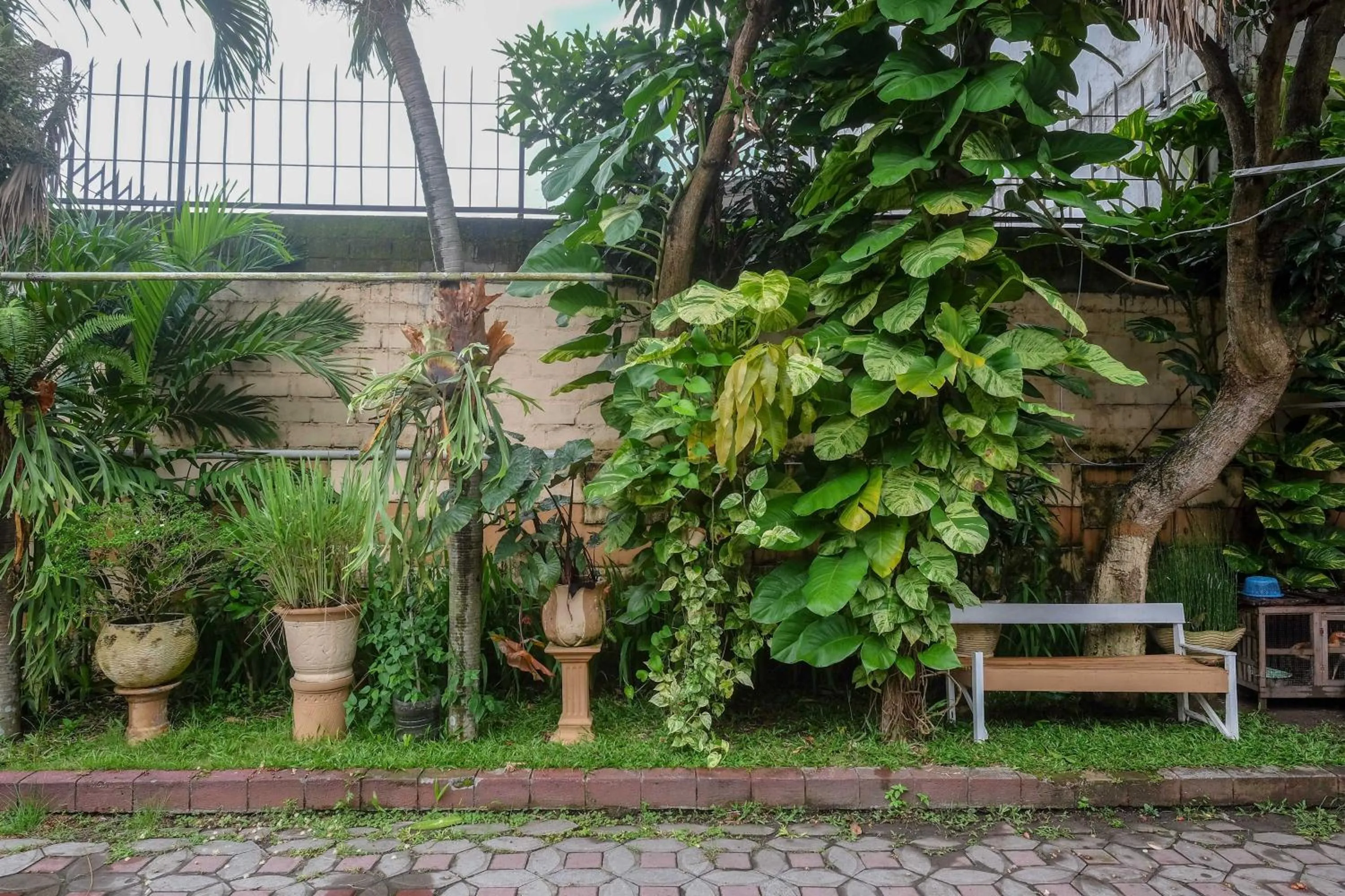 Garden in RedDoorz Syariah @ Colomadu 2