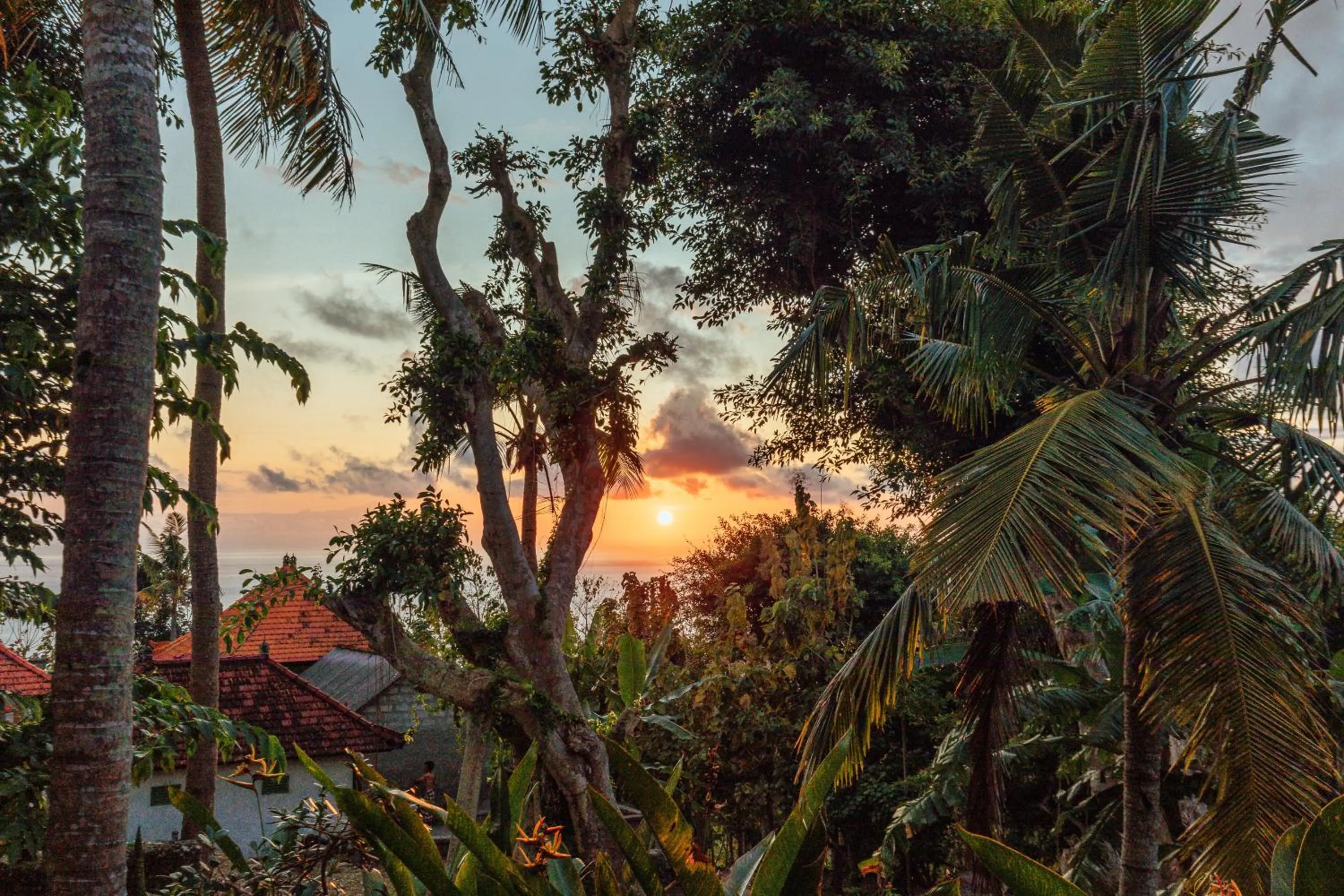 Natural landscape in Green Valley Bungalow