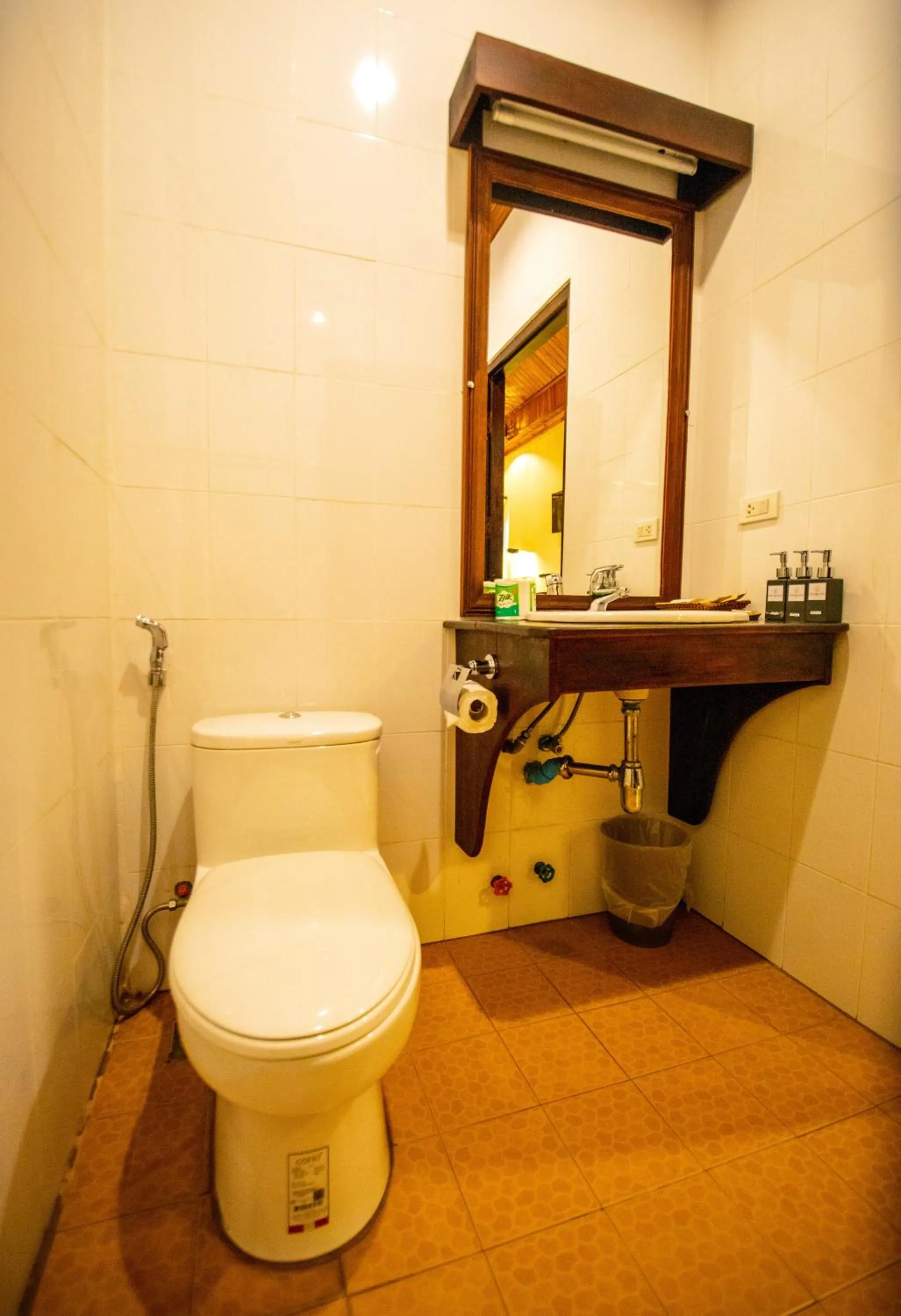 Toilet in Treasure Hotel Laos