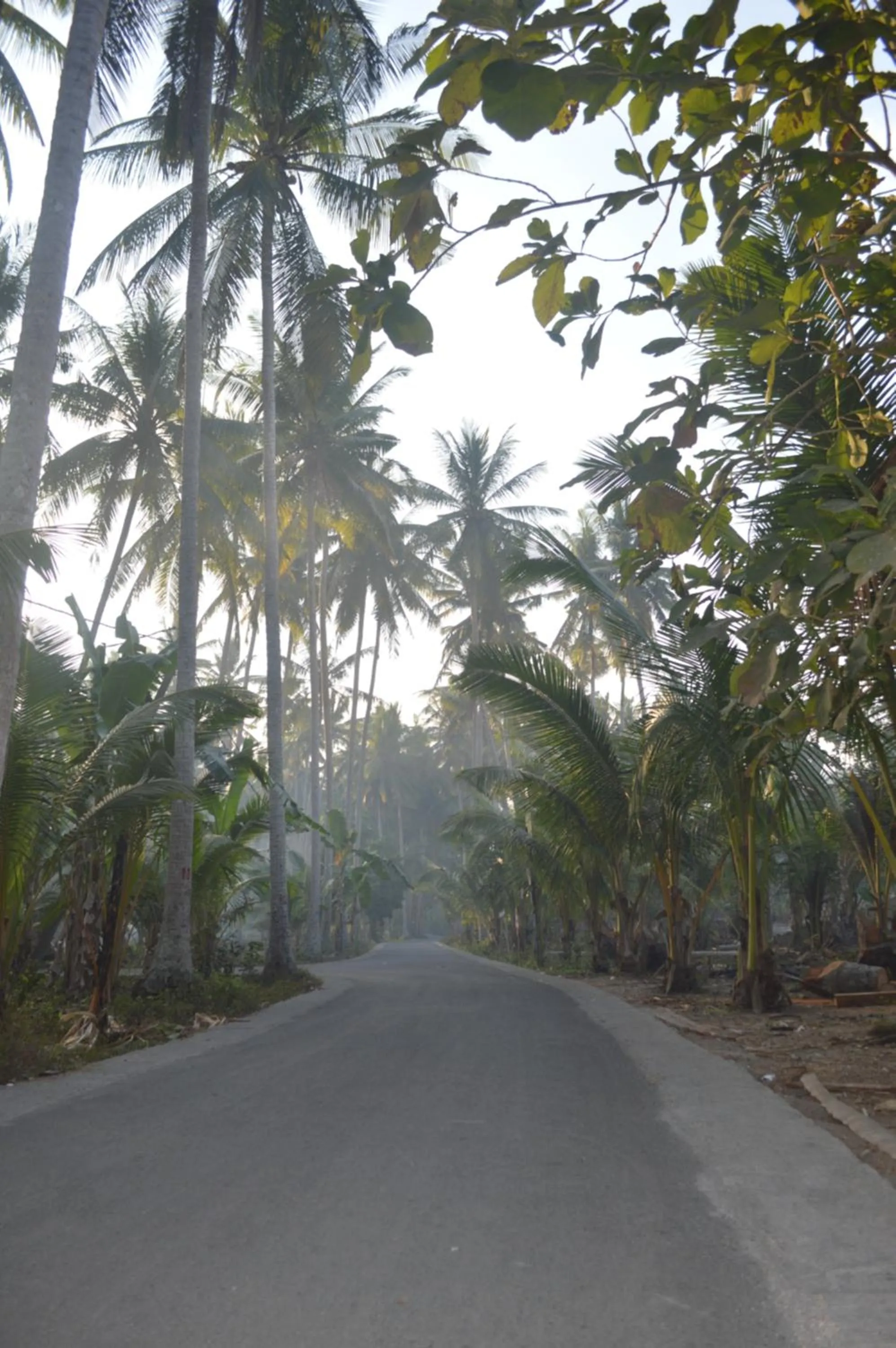 Property building in Nyuh Gading Bungalow Nusa Penida