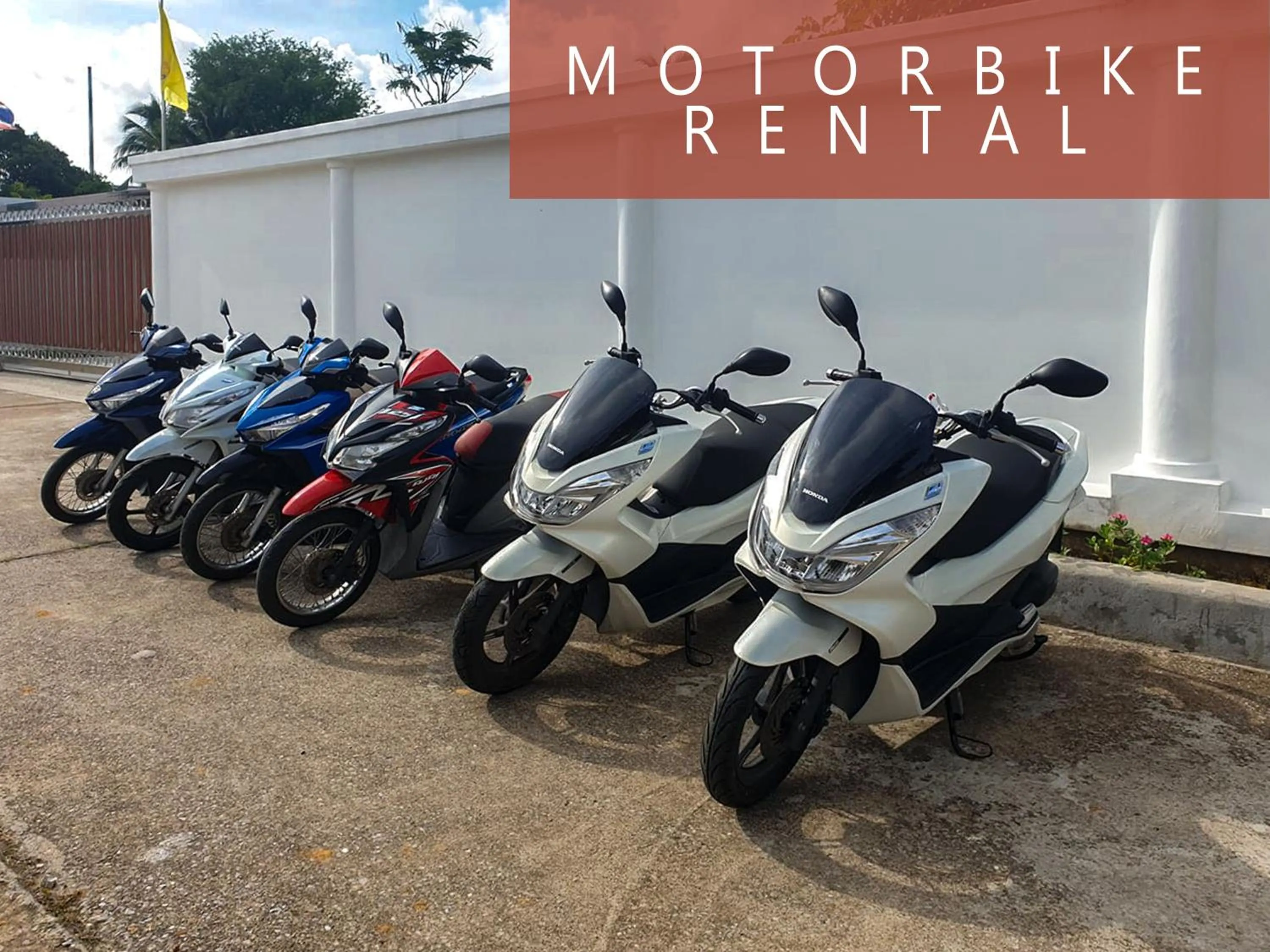 Activities in Coconut Wells Phuket