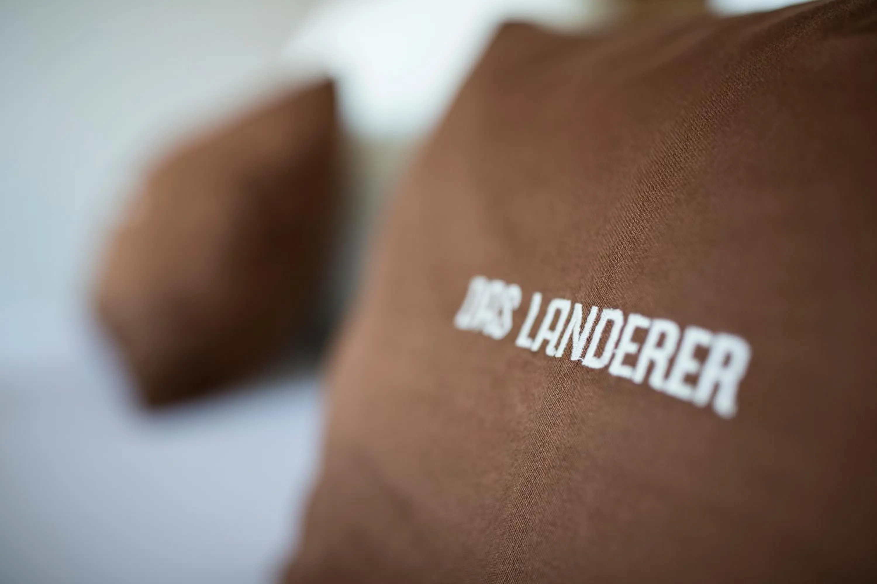 Decorative detail in Das Landerer