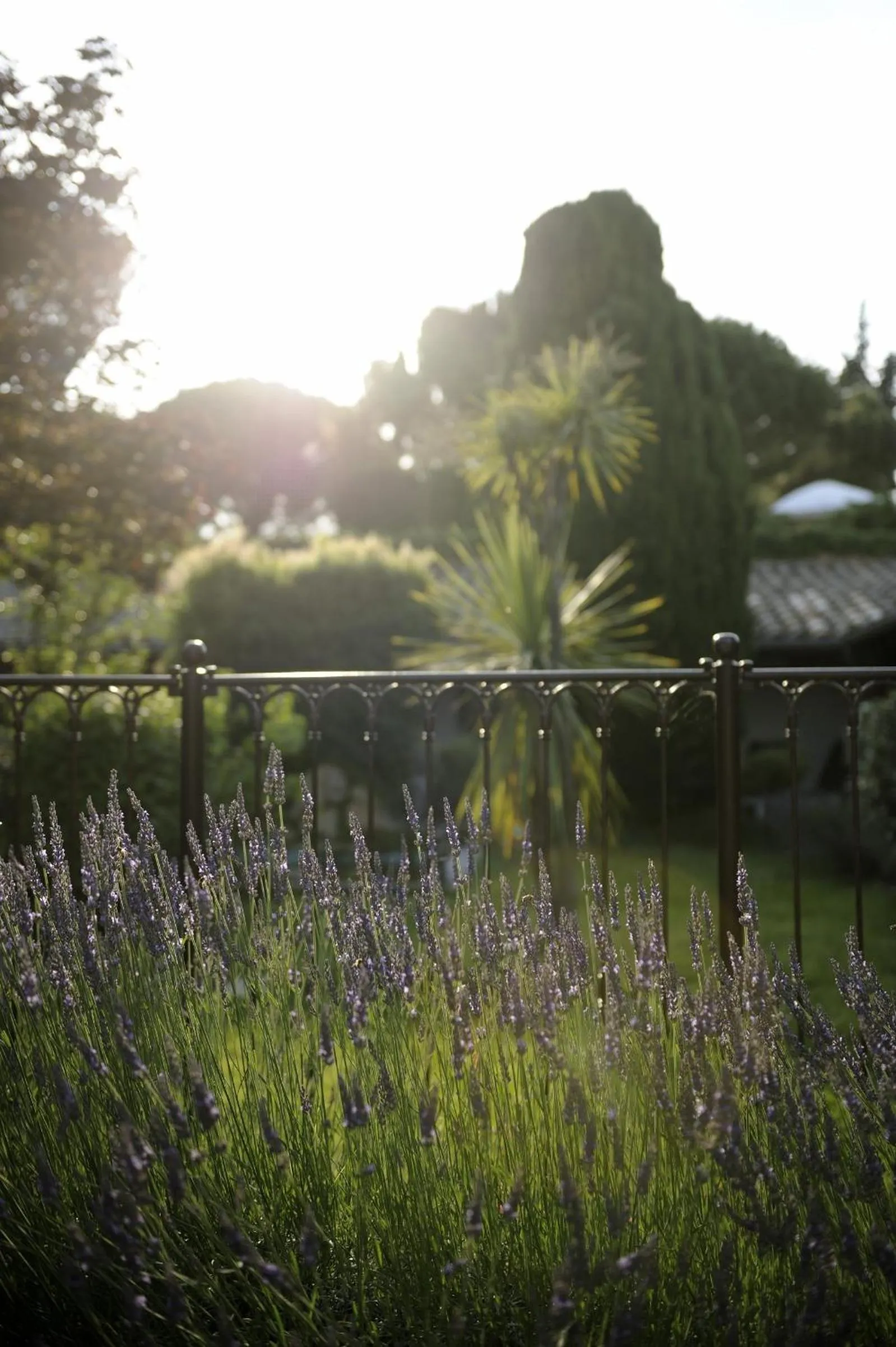 Garden in Auberge de Cassagne & Spa