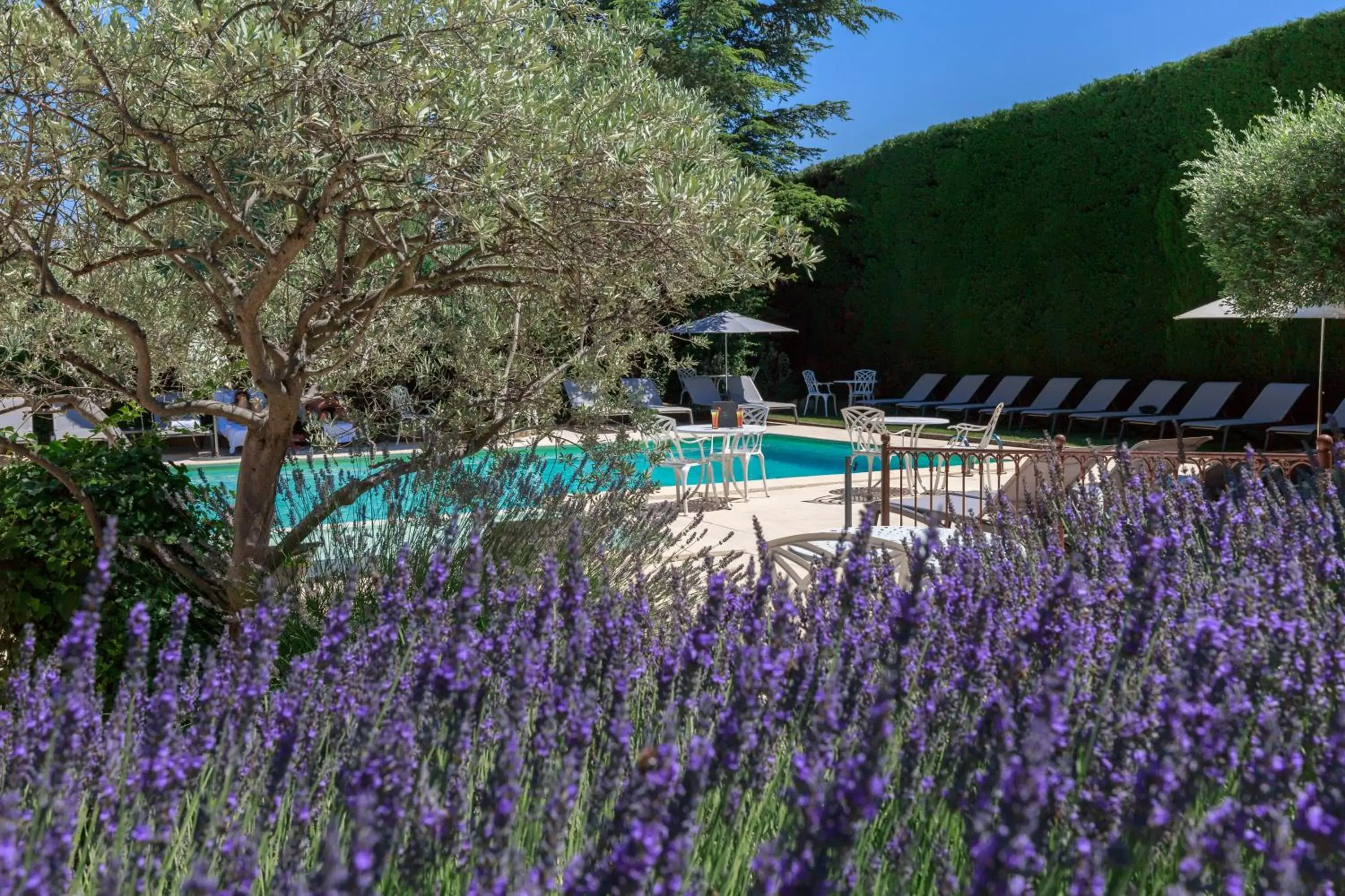 Swimming pool in Auberge de Cassagne & Spa Swimming pool in Auberge de Cassagne & Spa
