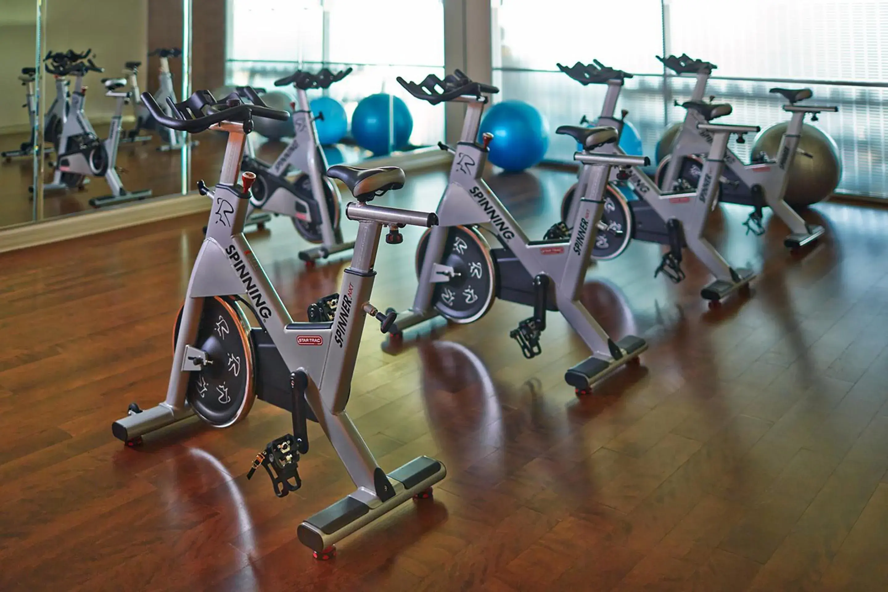 Fitness centre/facilities in Hotel Arista Fitness centre/facilities in Hotel Arista