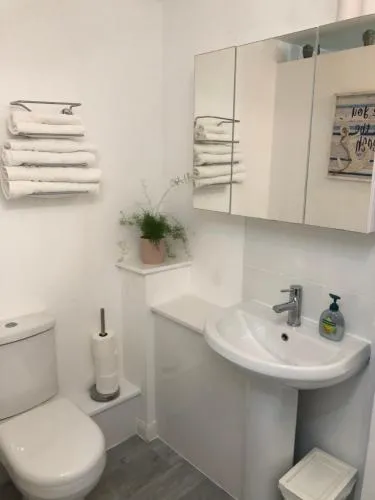 Basingstoke En Suite Room in Garden Annex