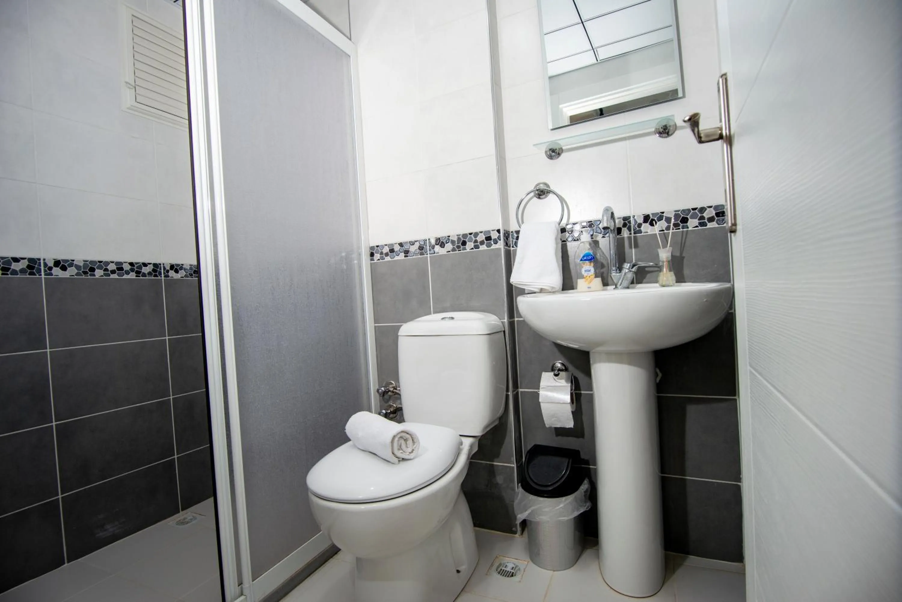 Shower in Arney Suites