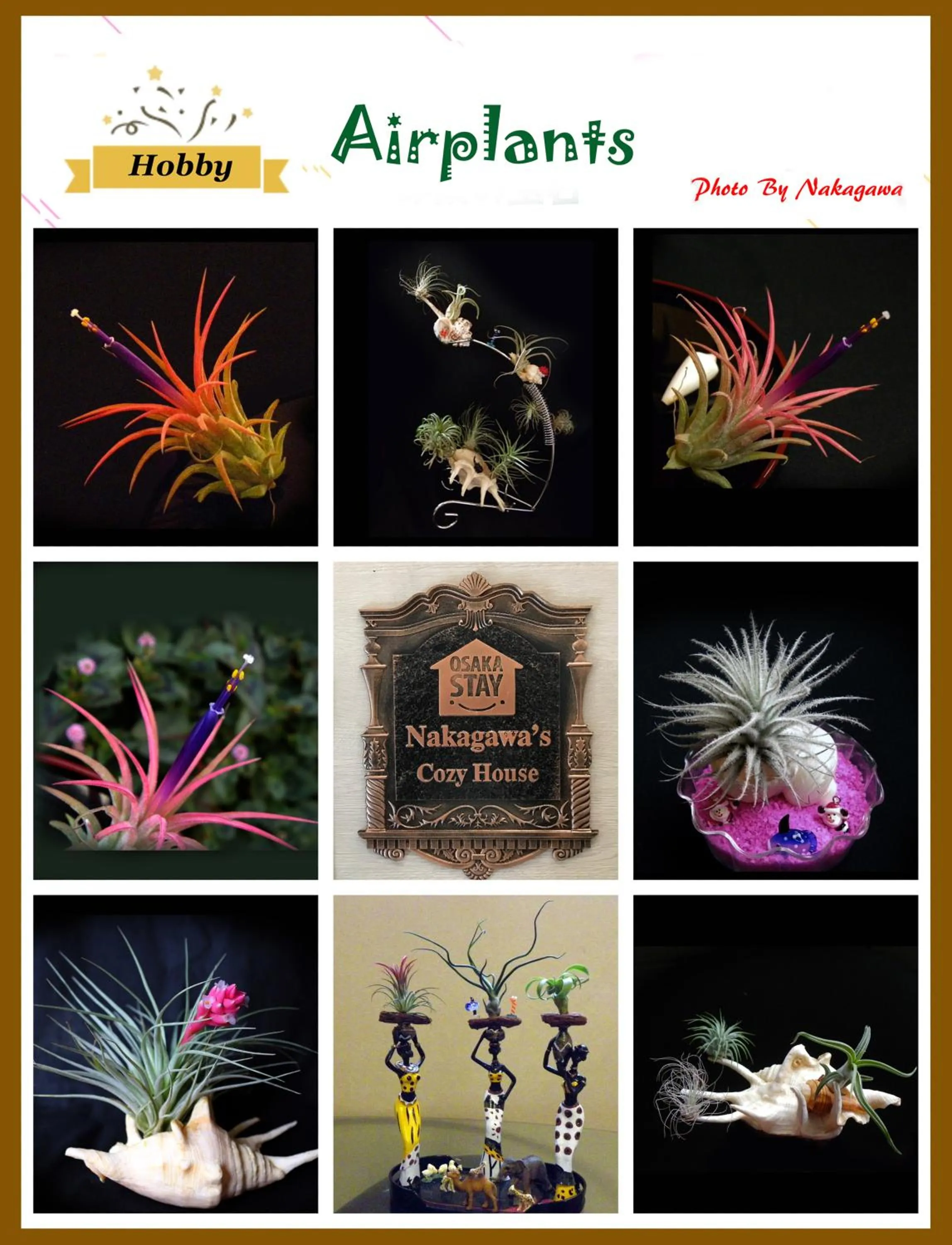 Family in Nakagawa's Cozy House