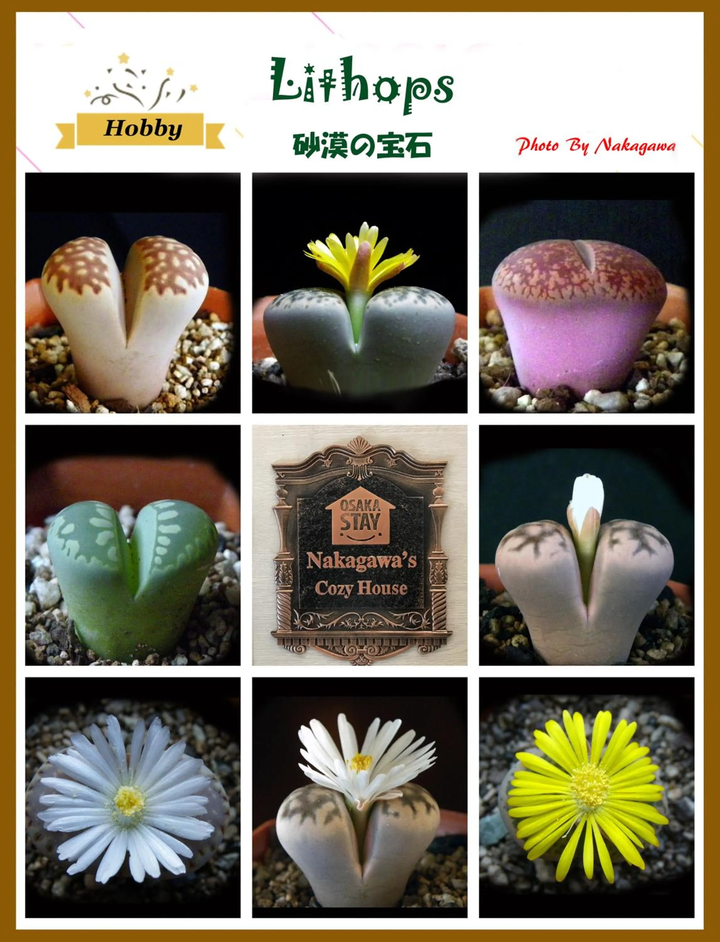 Family in Nakagawa's Cozy House