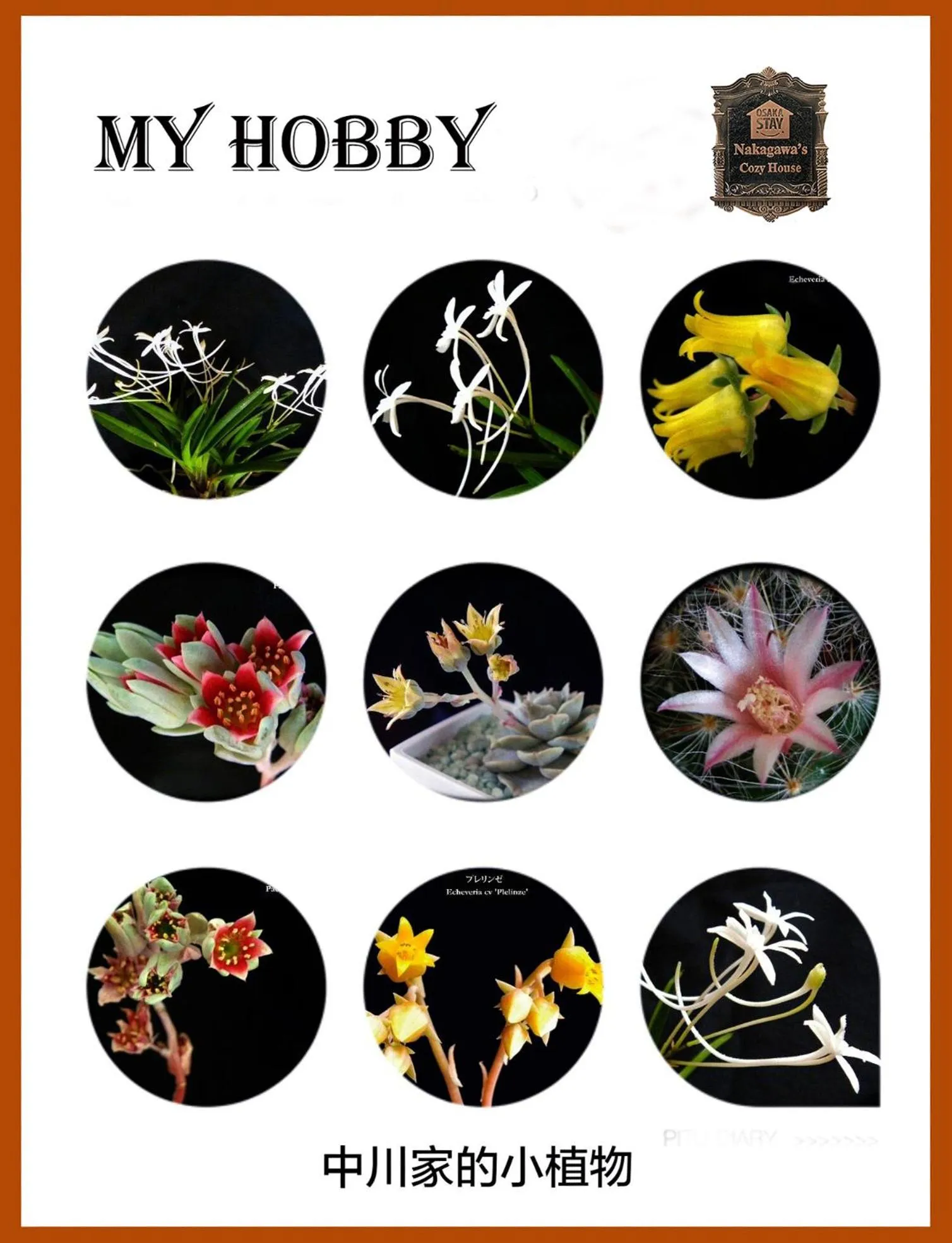 Family in Nakagawa's Cozy House