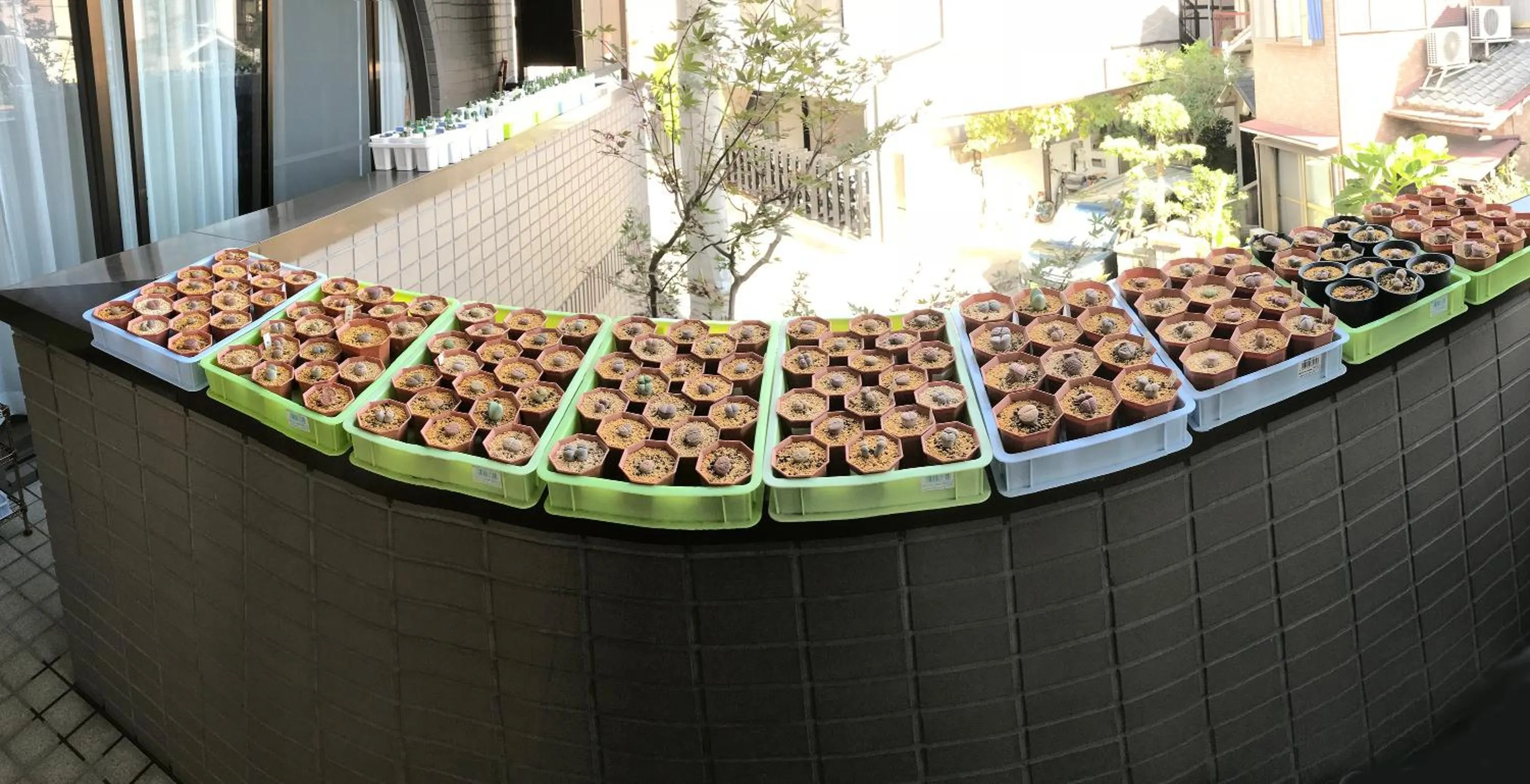 Balcony/Terrace in Nakagawa's Cozy House