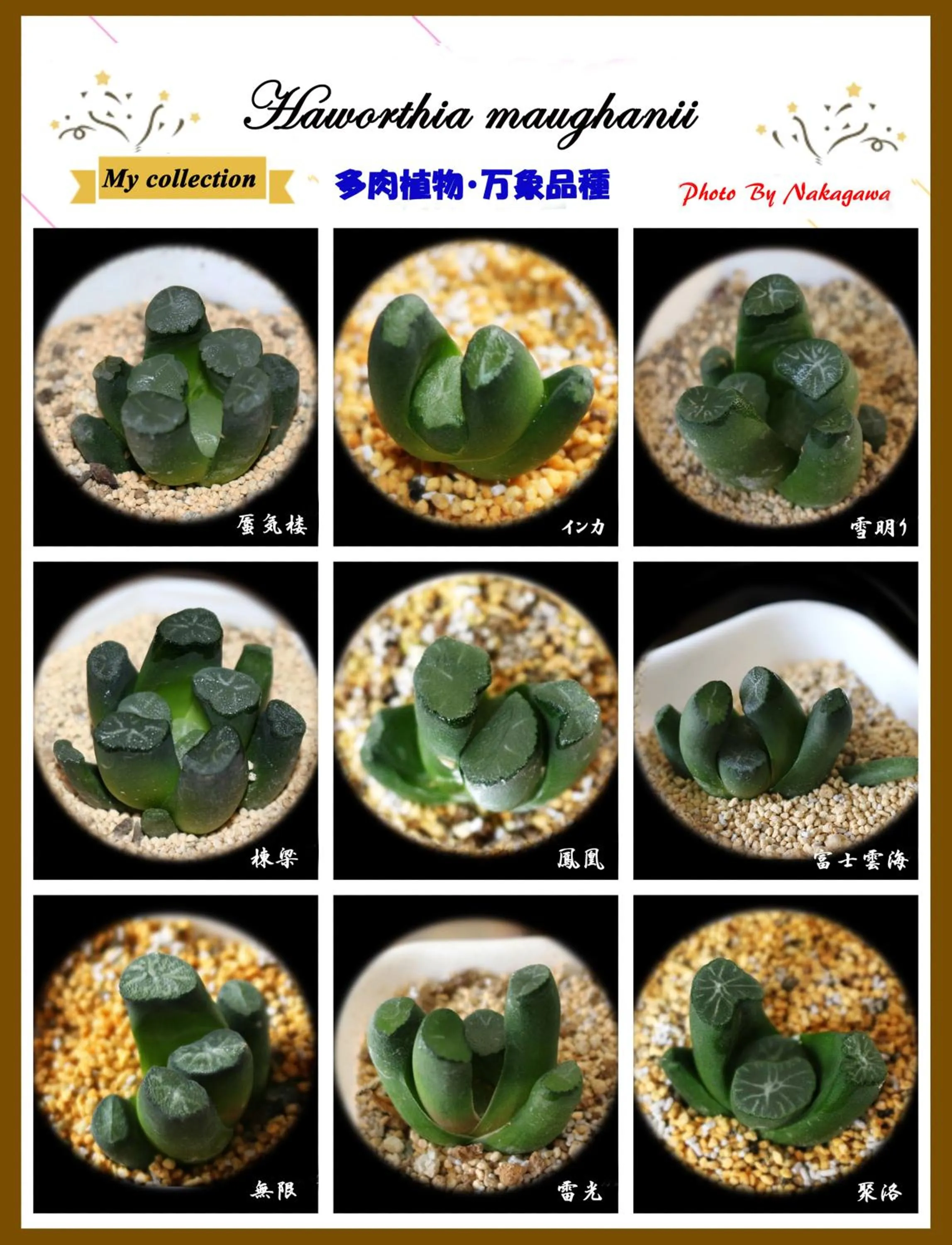 Family in Nakagawa's Cozy House