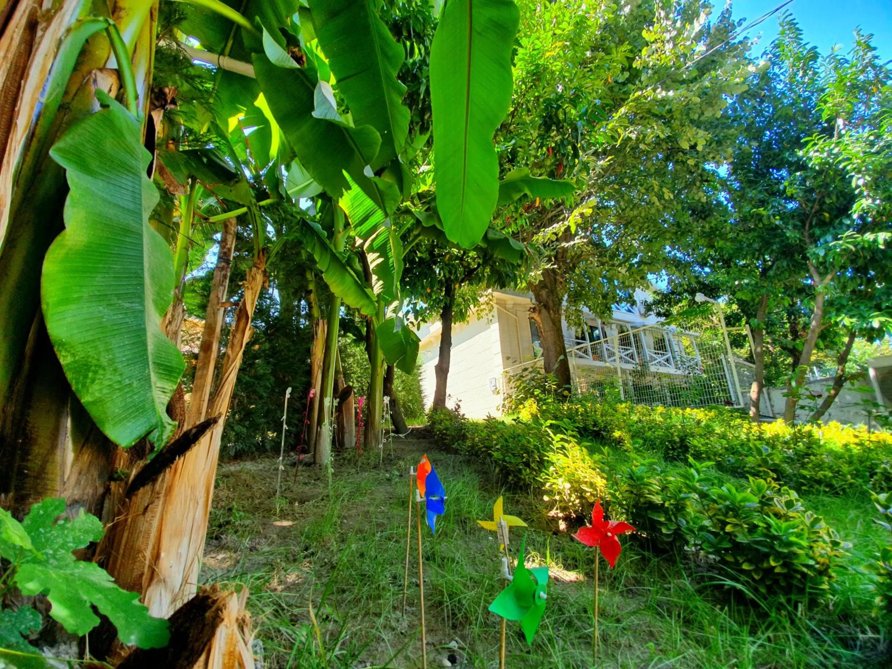 Kadifeli Konak Hotel & Bungalow