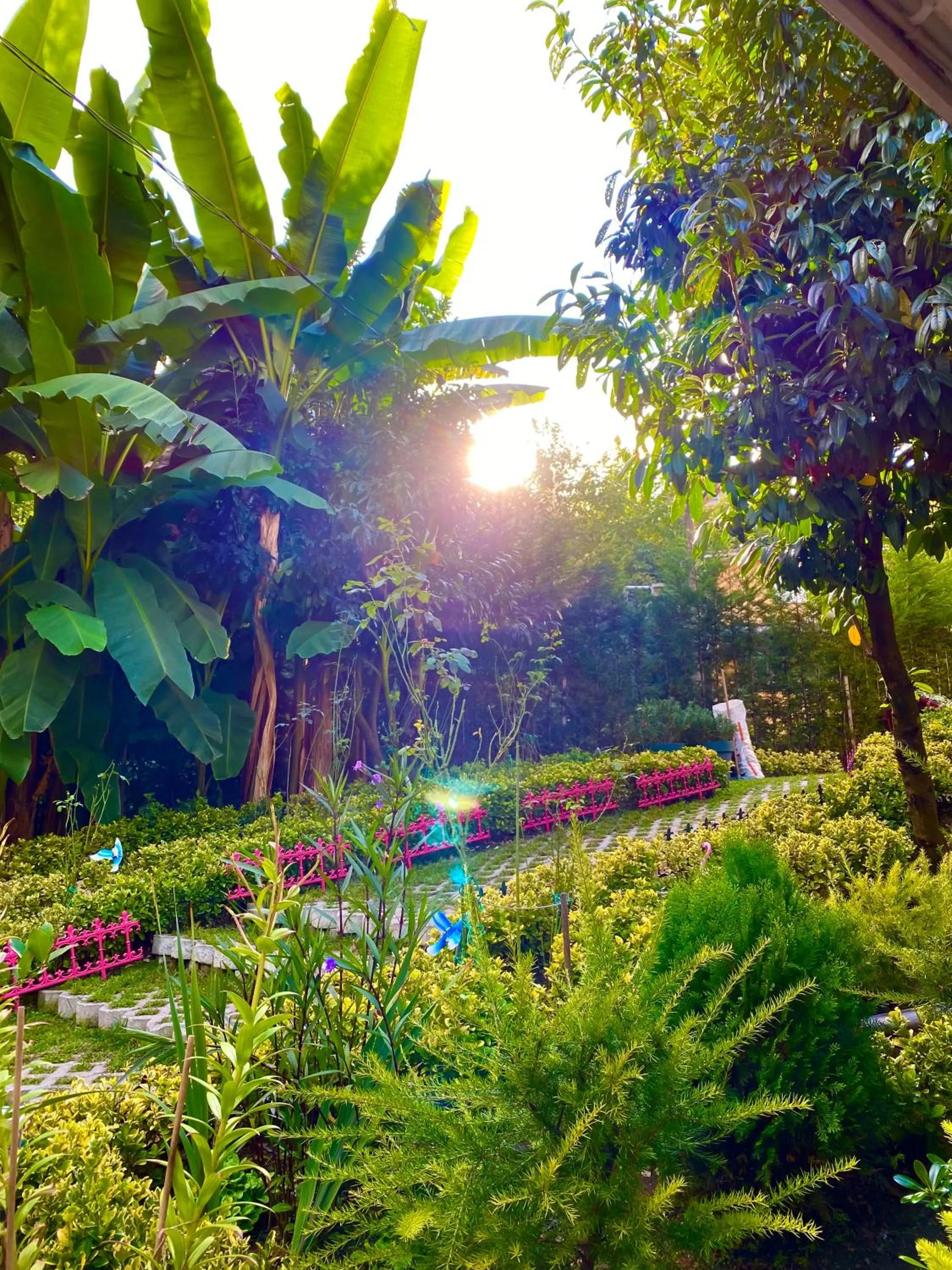 Kadifeli Konak Hotel & Bungalow