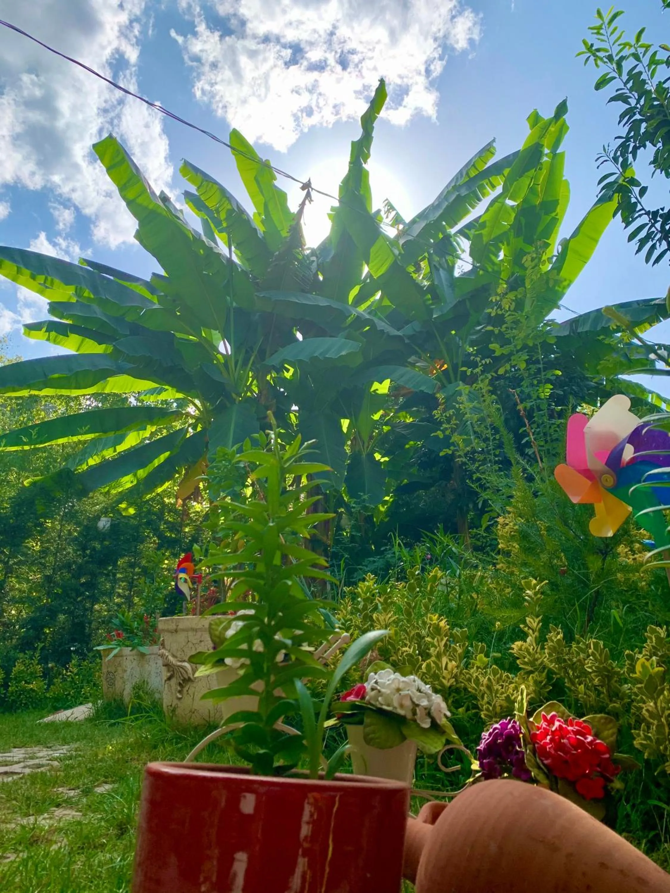 Kadifeli Konak Hotel & Bungalow