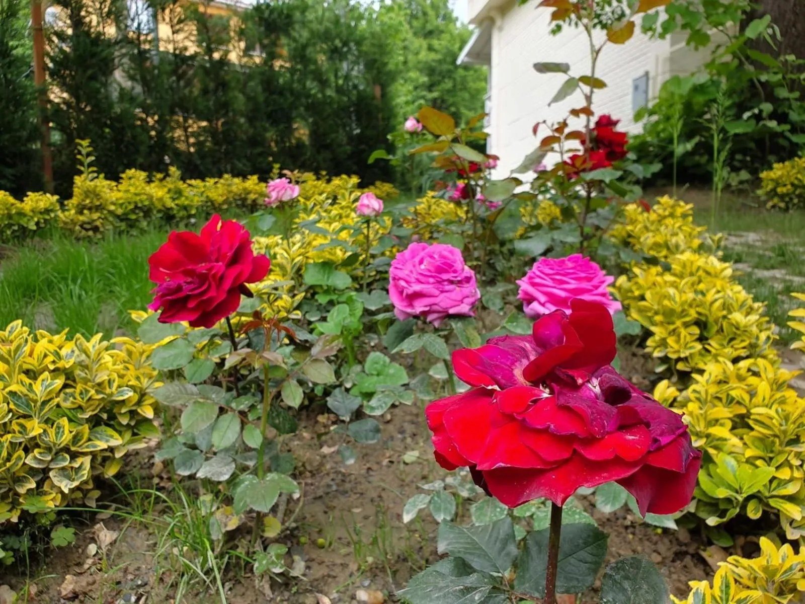Garden in Kadifeli Konak Hotel & Bungalow
