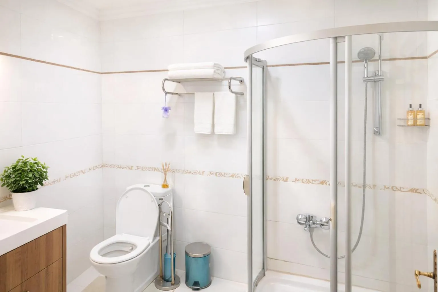 Shower in valide-maide hotel