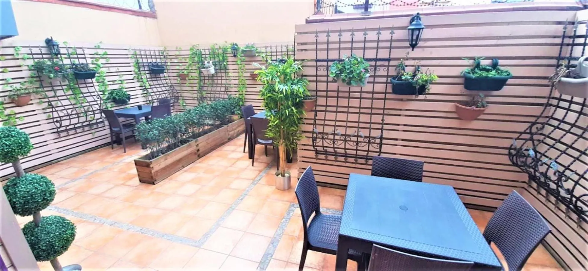 Garden in Valide i Suit