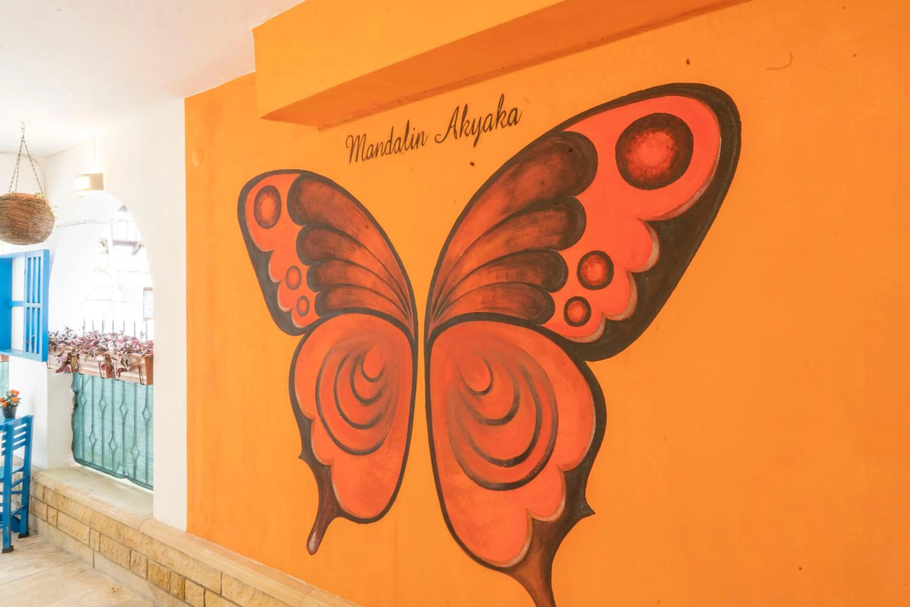 Decorative detail in MANDALİN AKYAKA