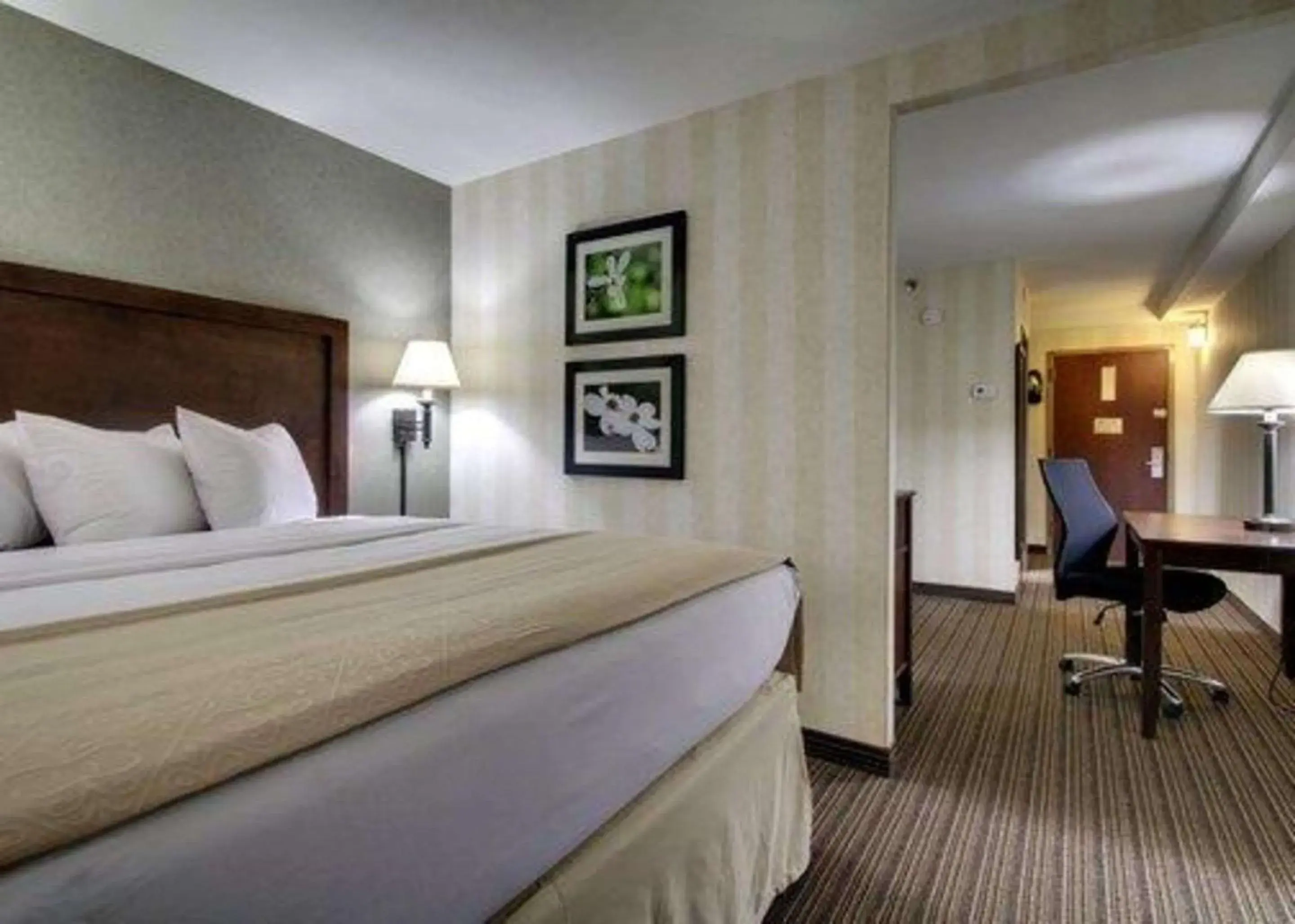 Photo of the whole room, Bed in The Atrium Hotel on Third Photo of the whole room, Bed in The Atrium Hotel on Third