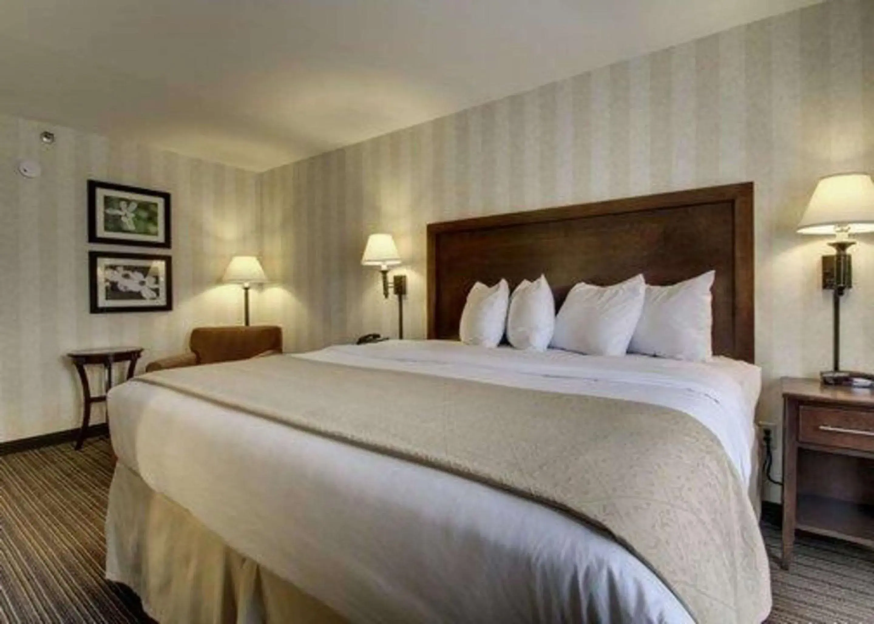 Photo of the whole room, Bed in The Atrium Hotel on Third Photo of the whole room, Bed in The Atrium Hotel on Third