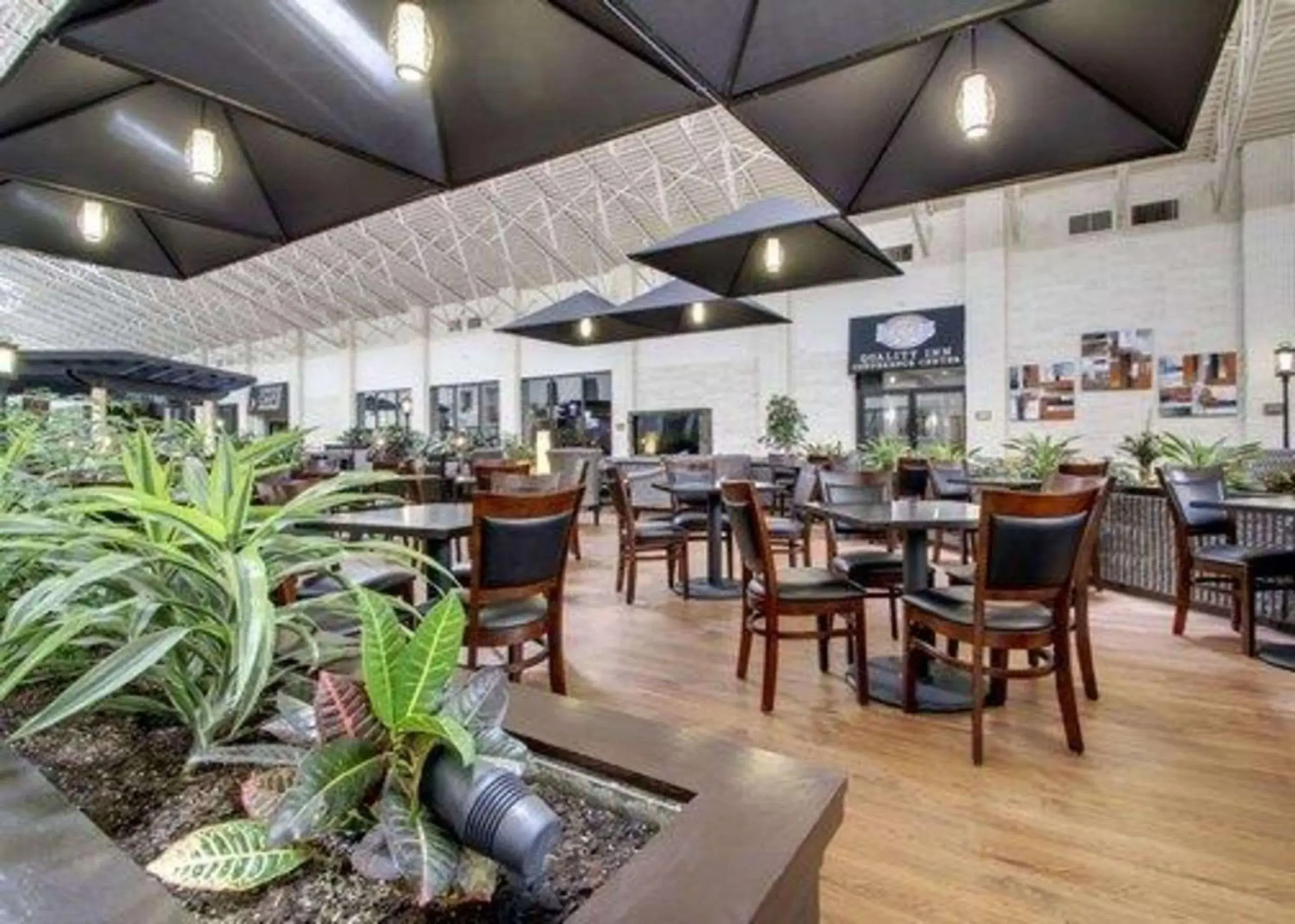 Lobby or reception in The Atrium Hotel on Third Lobby or reception in The Atrium Hotel on Third