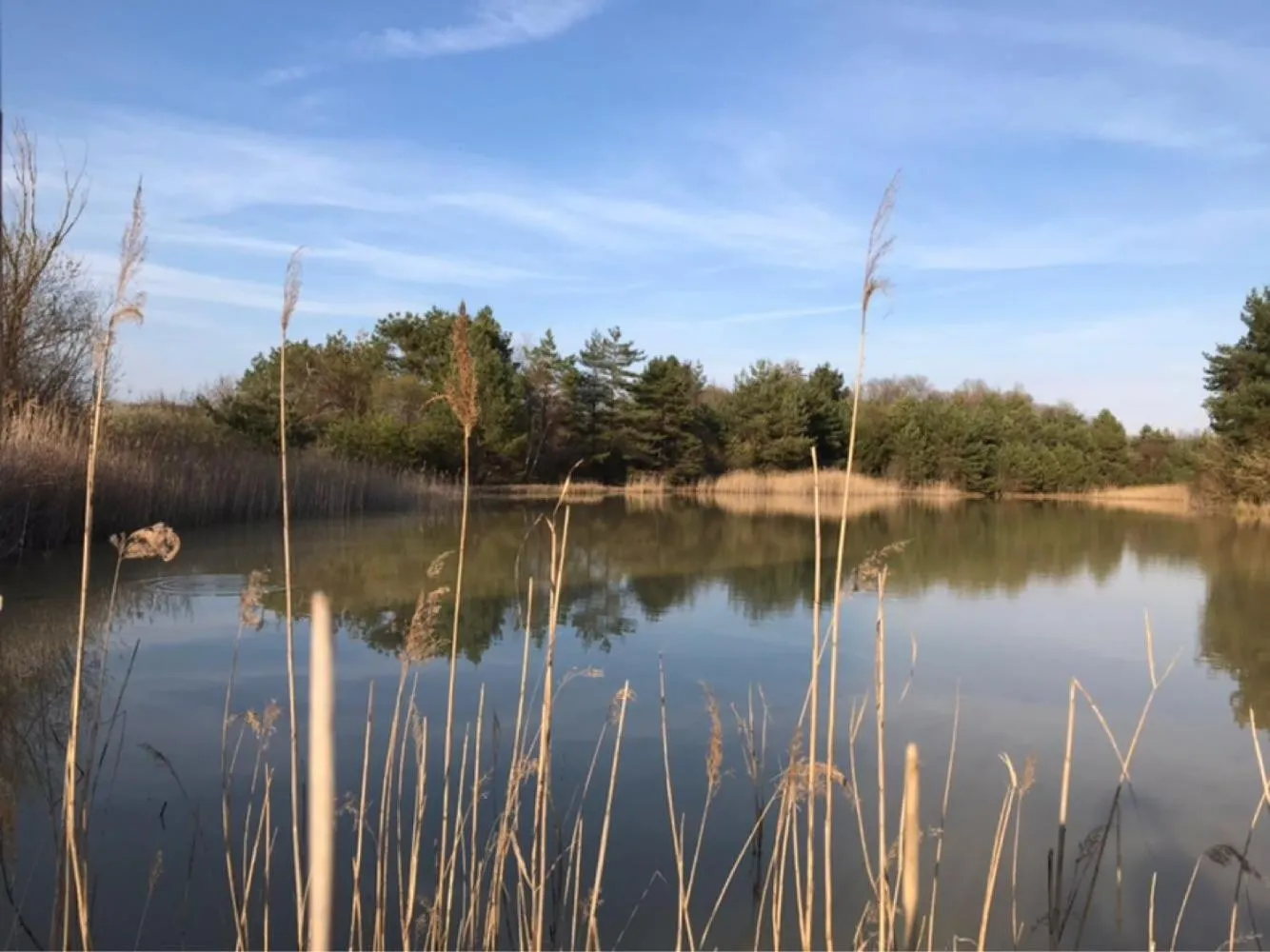 Natural landscape in Le Manoir de Pierre Levée, The Originals Collection