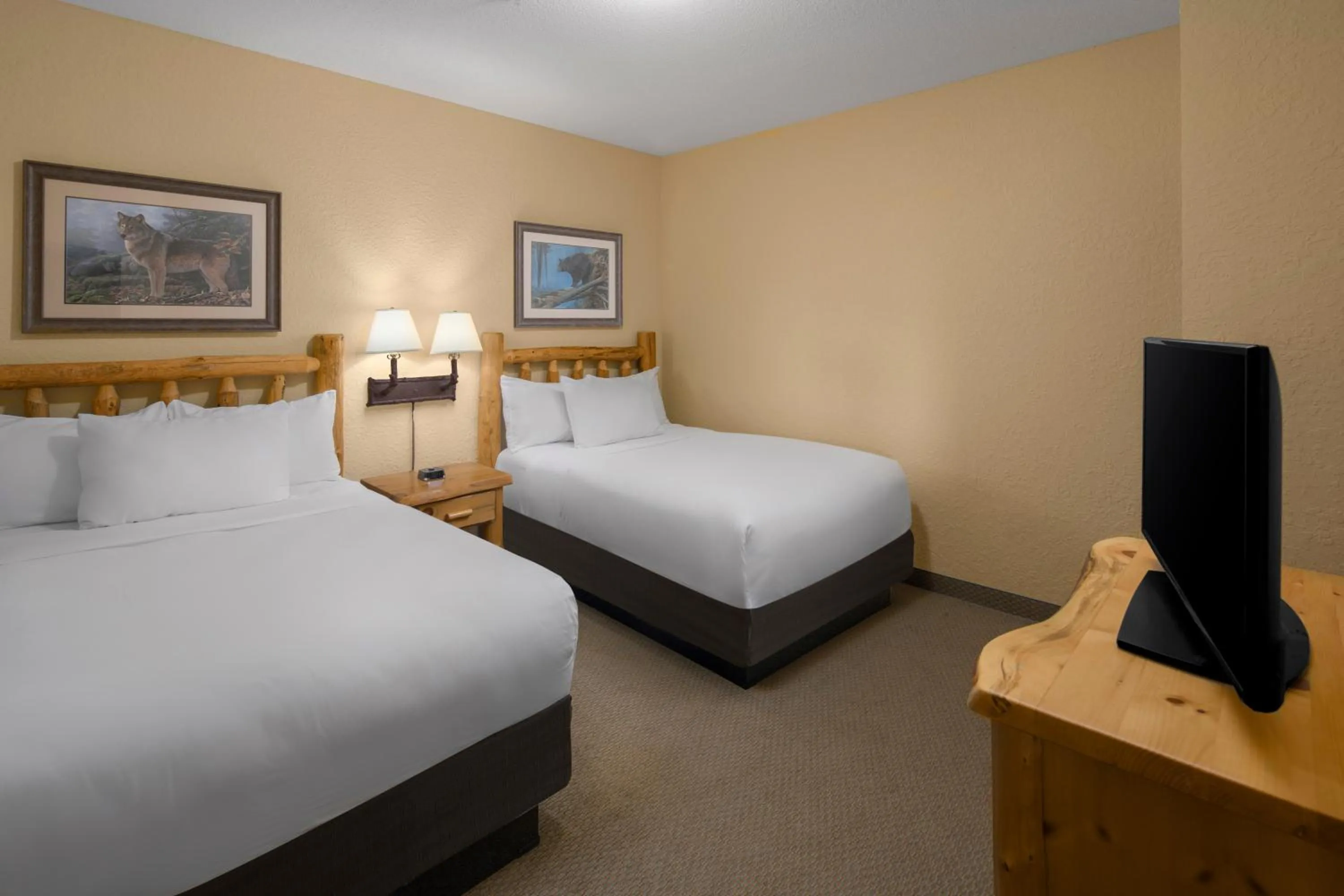 Great Wolf Lodge Wisconsin Dells