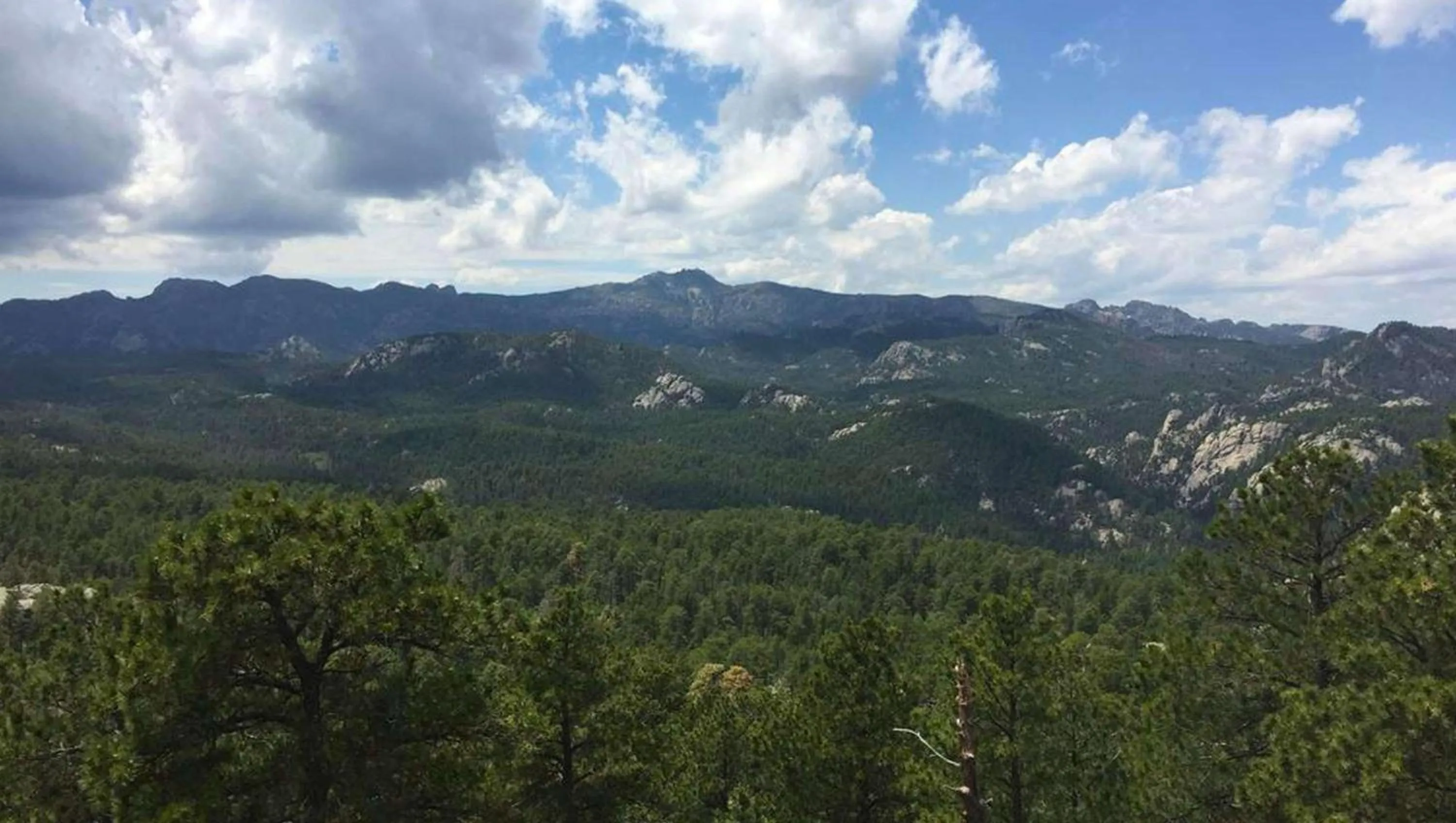 Property building in Magnuson Grand Rushmore View