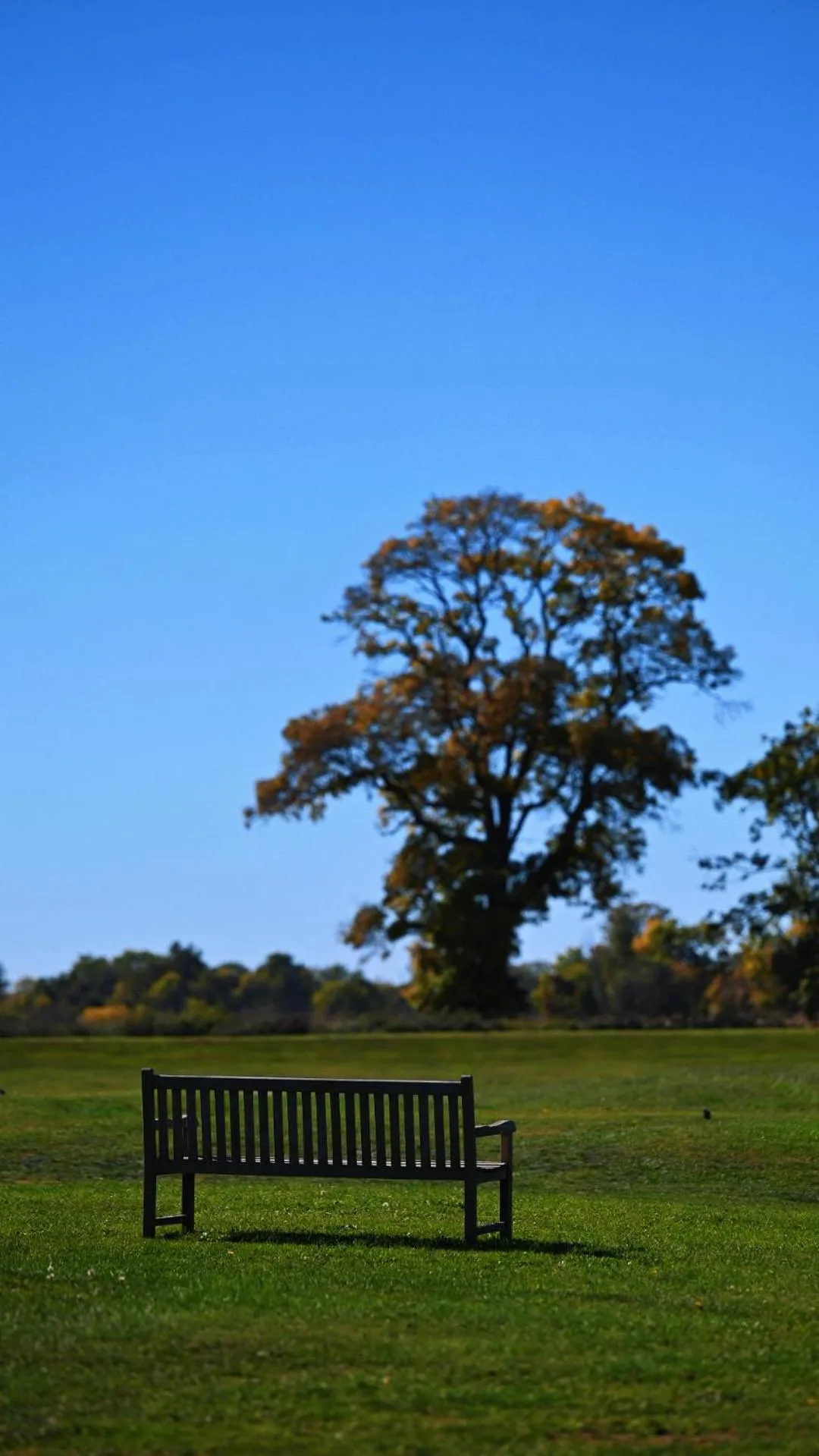 Golfcourse in Relais de Margaux - Hôtel, Golf & Spa