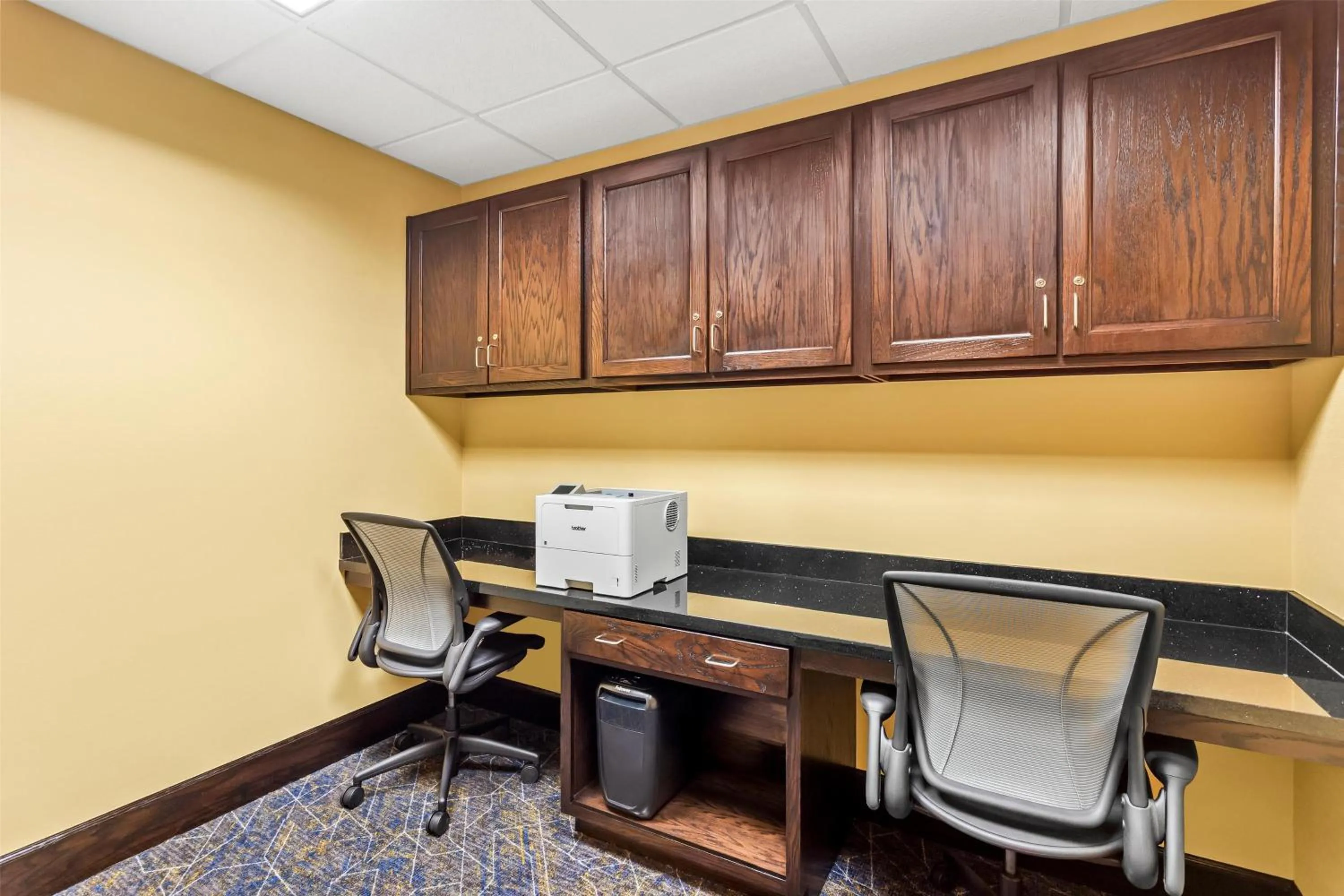 Business facilities in Hampton Inn Dekalb - Near the University