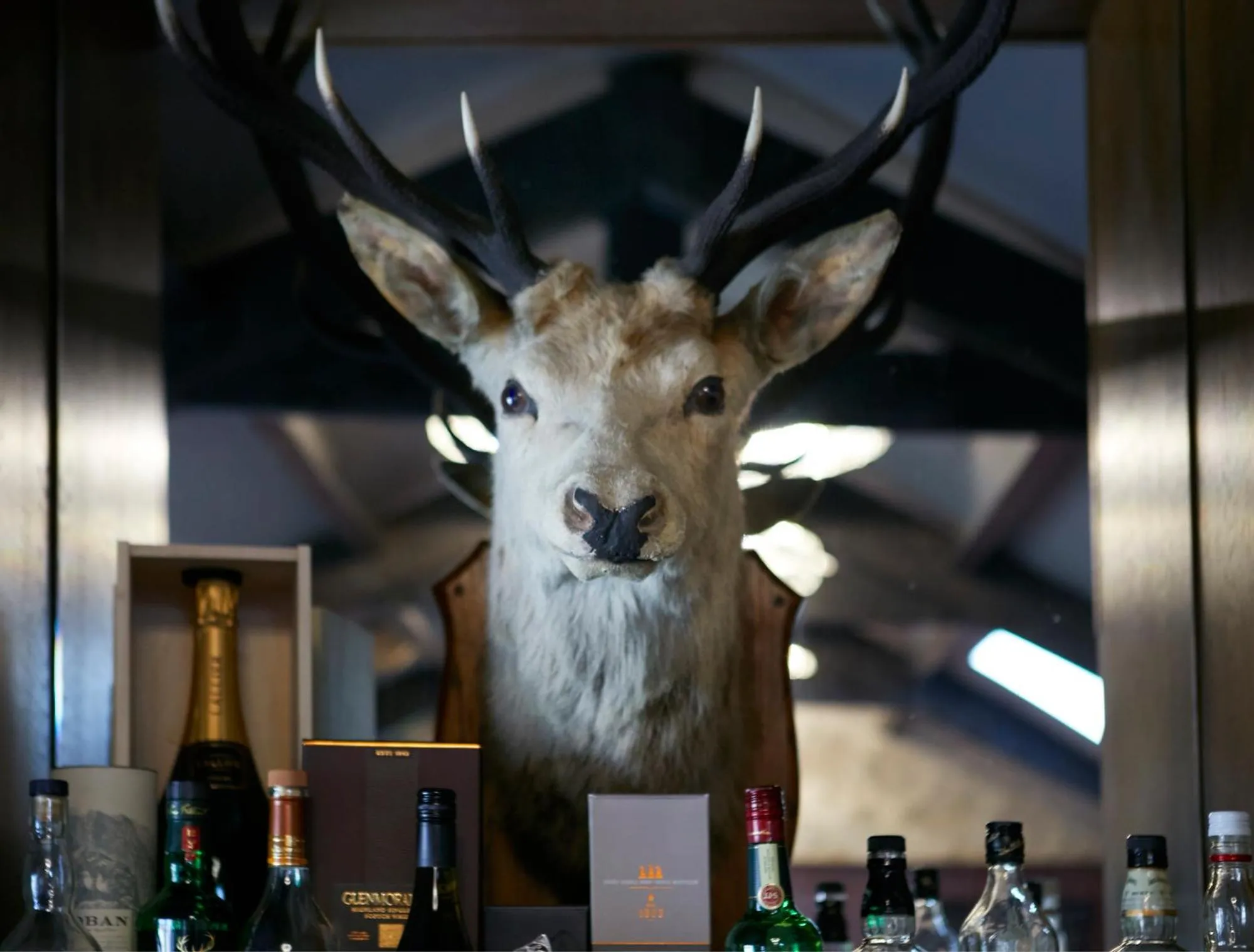 Property building in The Farrier