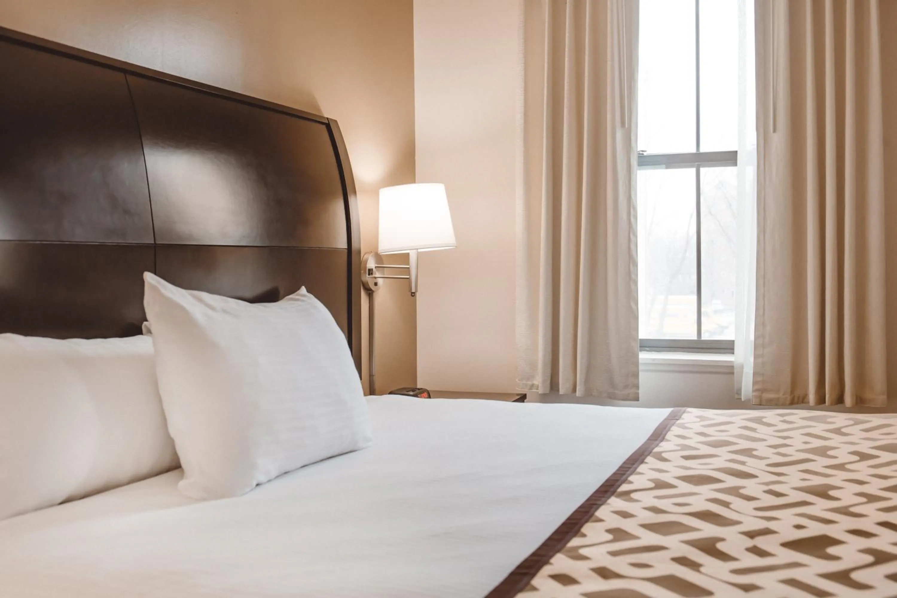 Bedroom, Bed in Chicago South Loop Hotel